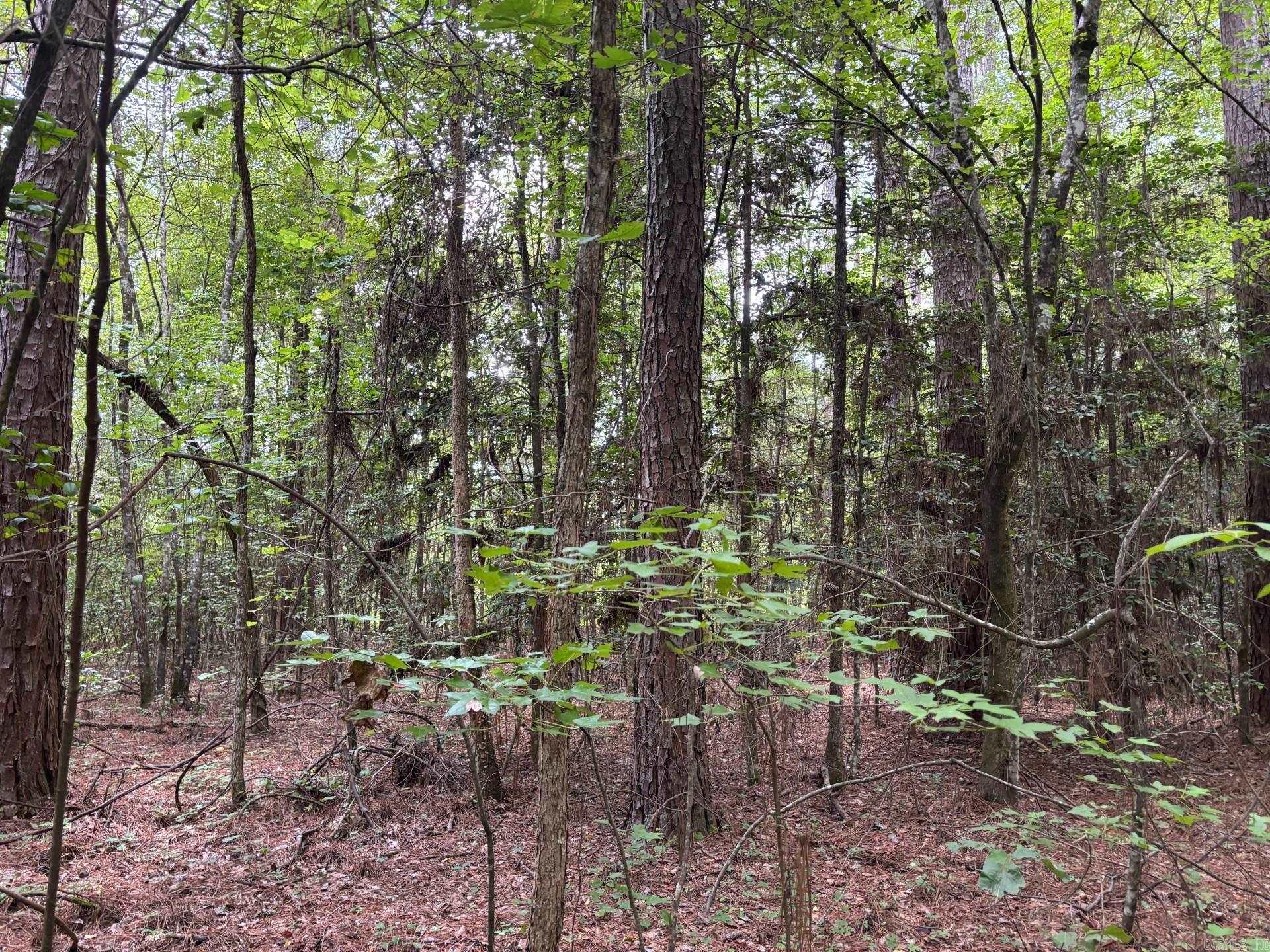 Harmony Grove - Land