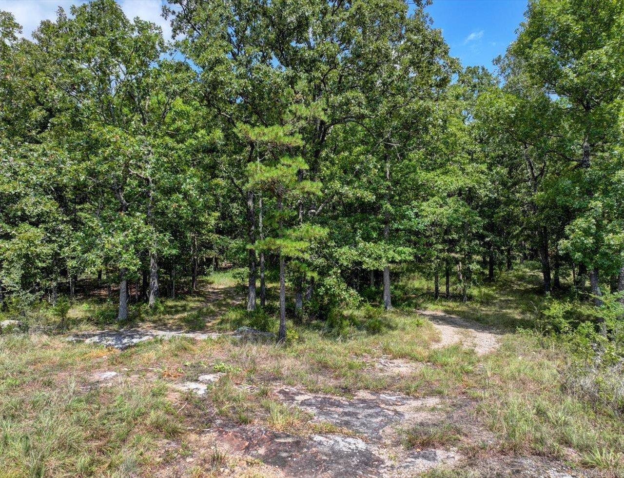 00-10-09 - River - Land