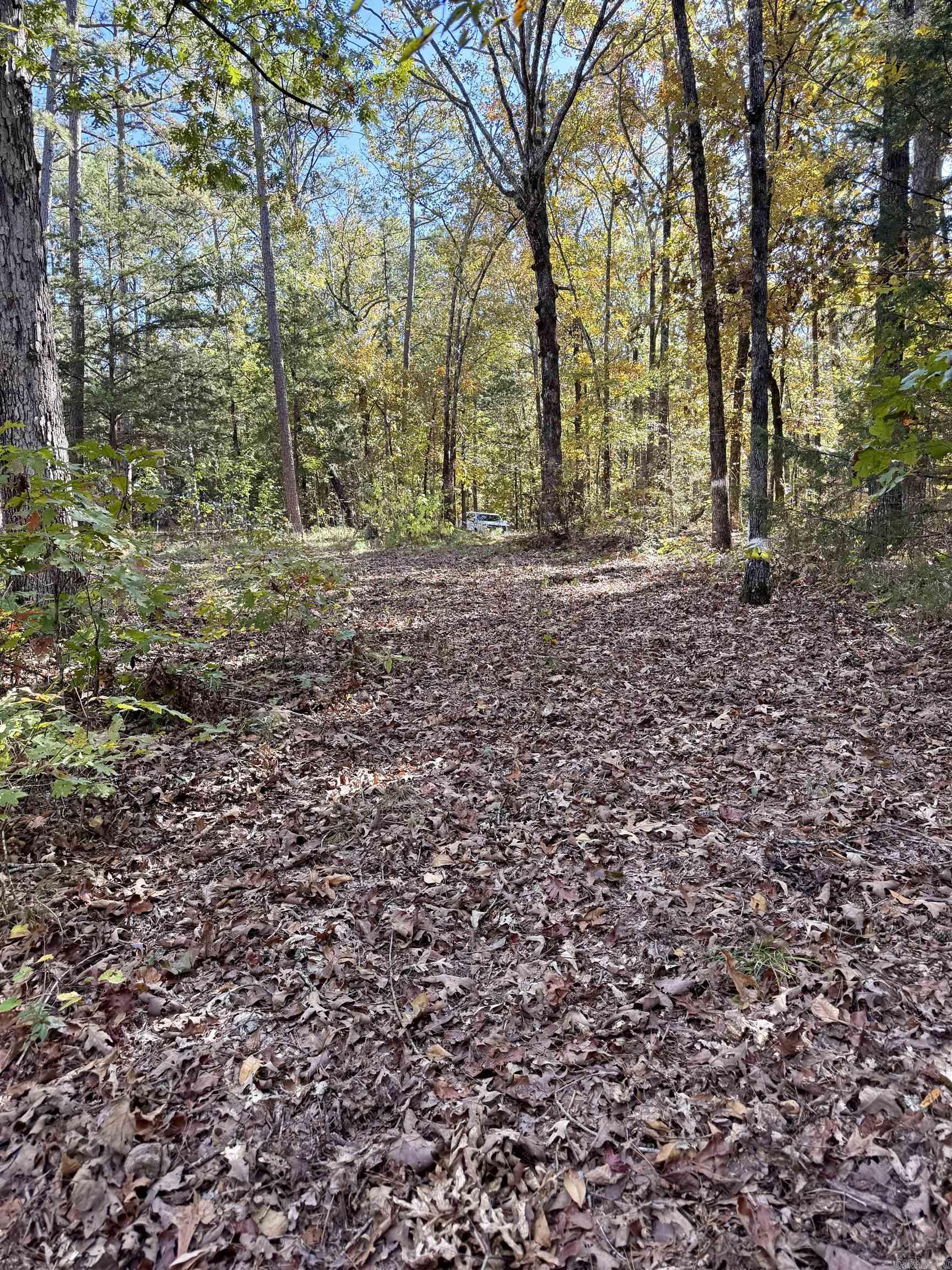 Crockett & Forrest Lake - Land