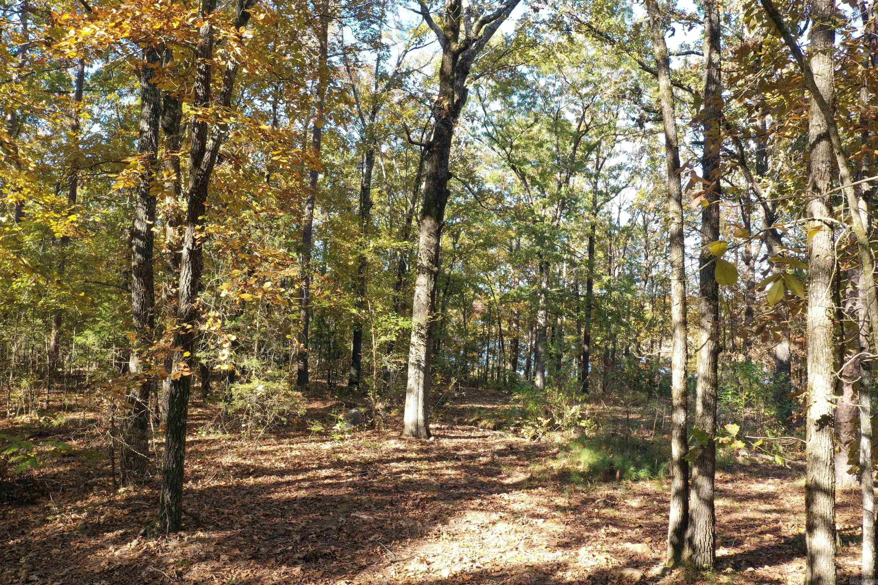 Crockett & Forrest Lake - Land