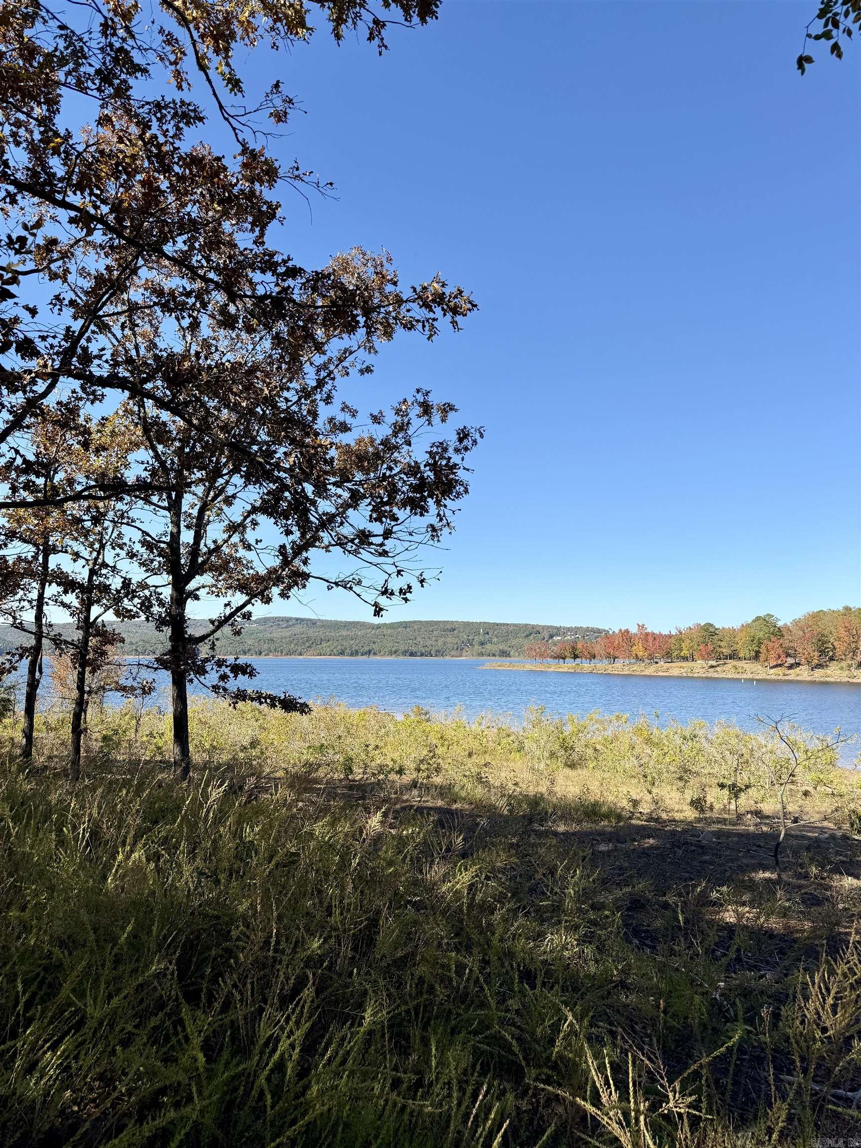 Crockett & Forrest Lake - Land