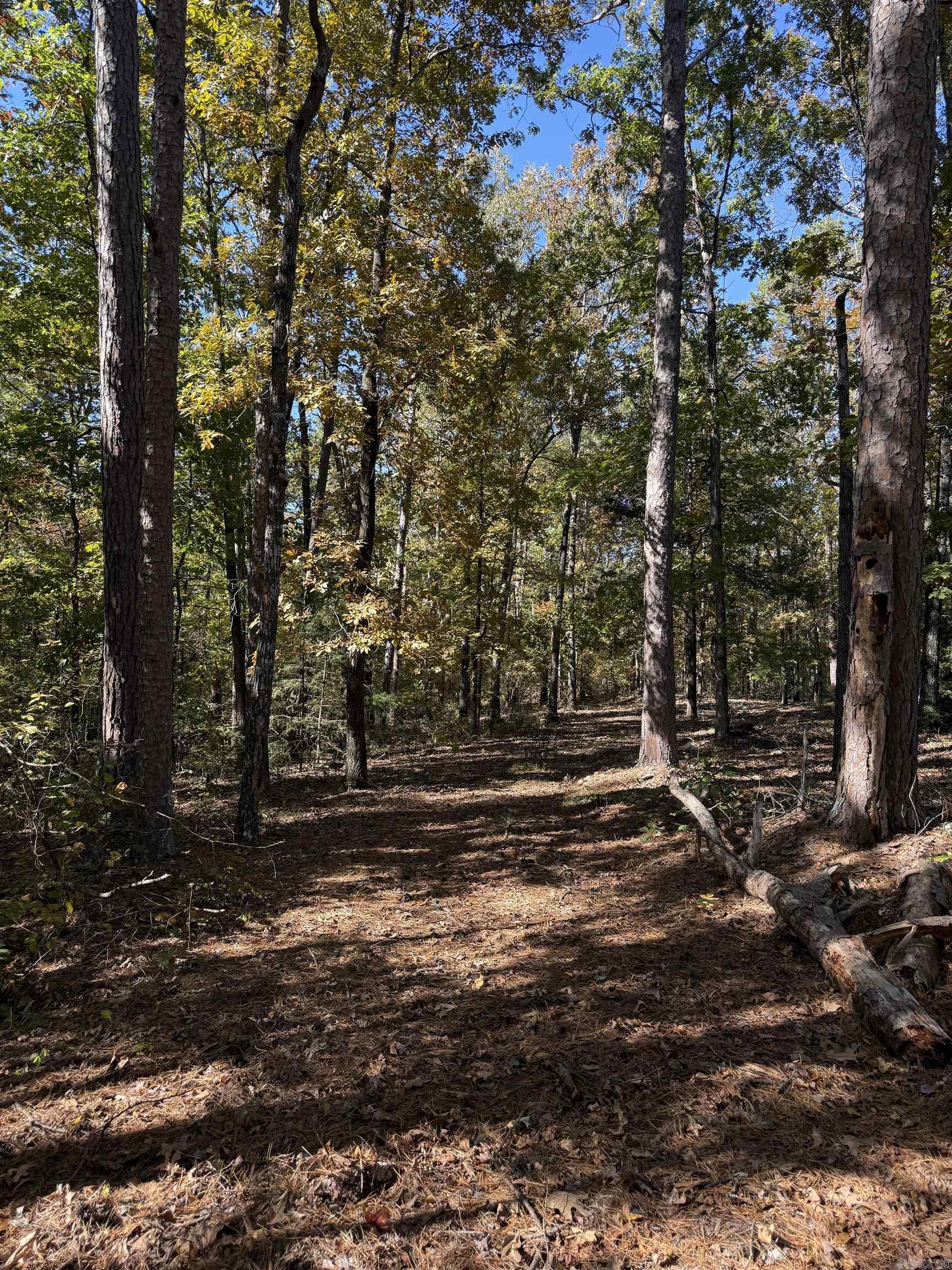 Crockett & Forrest Lake - Land