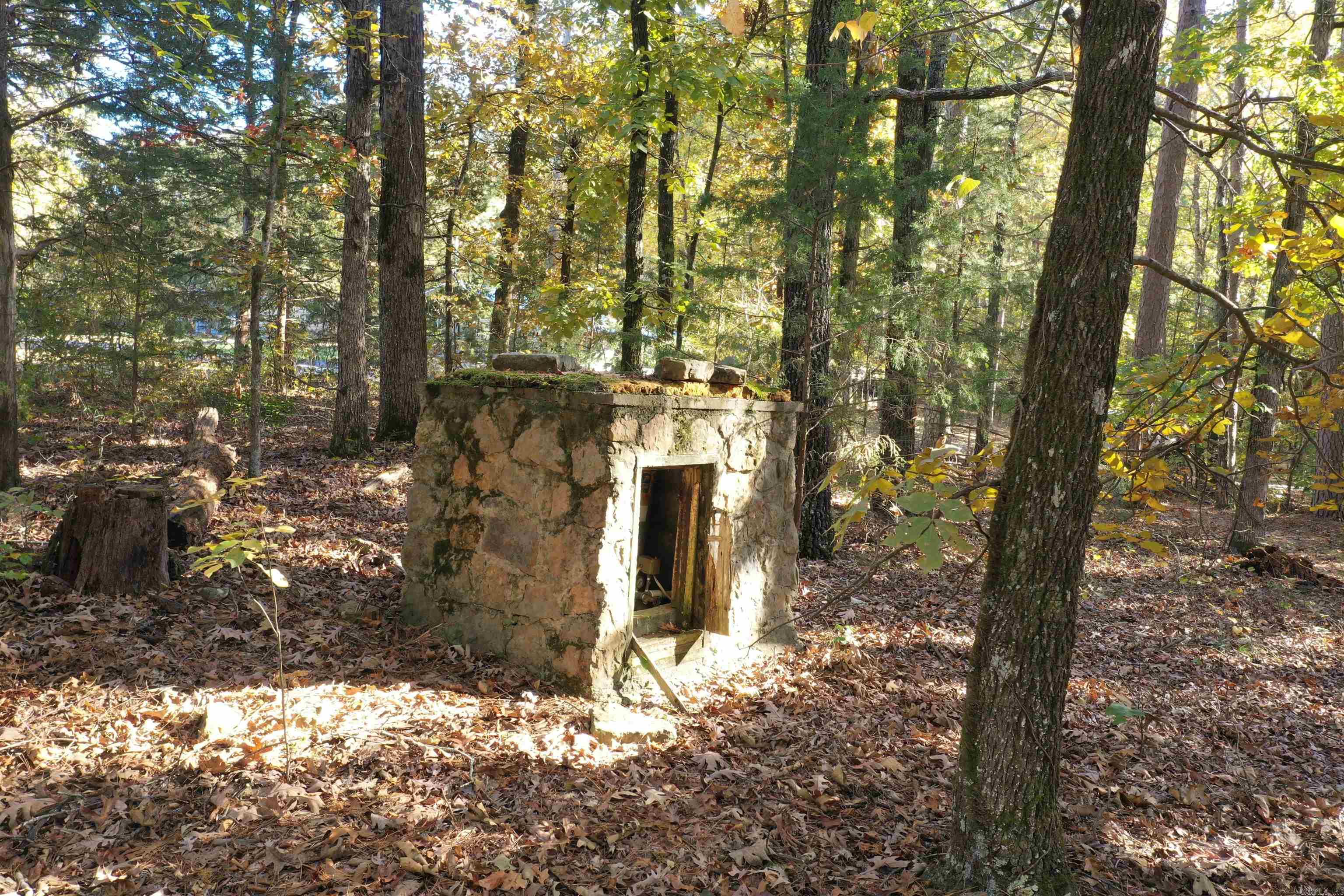 Crockett & Forrest Lake - Land