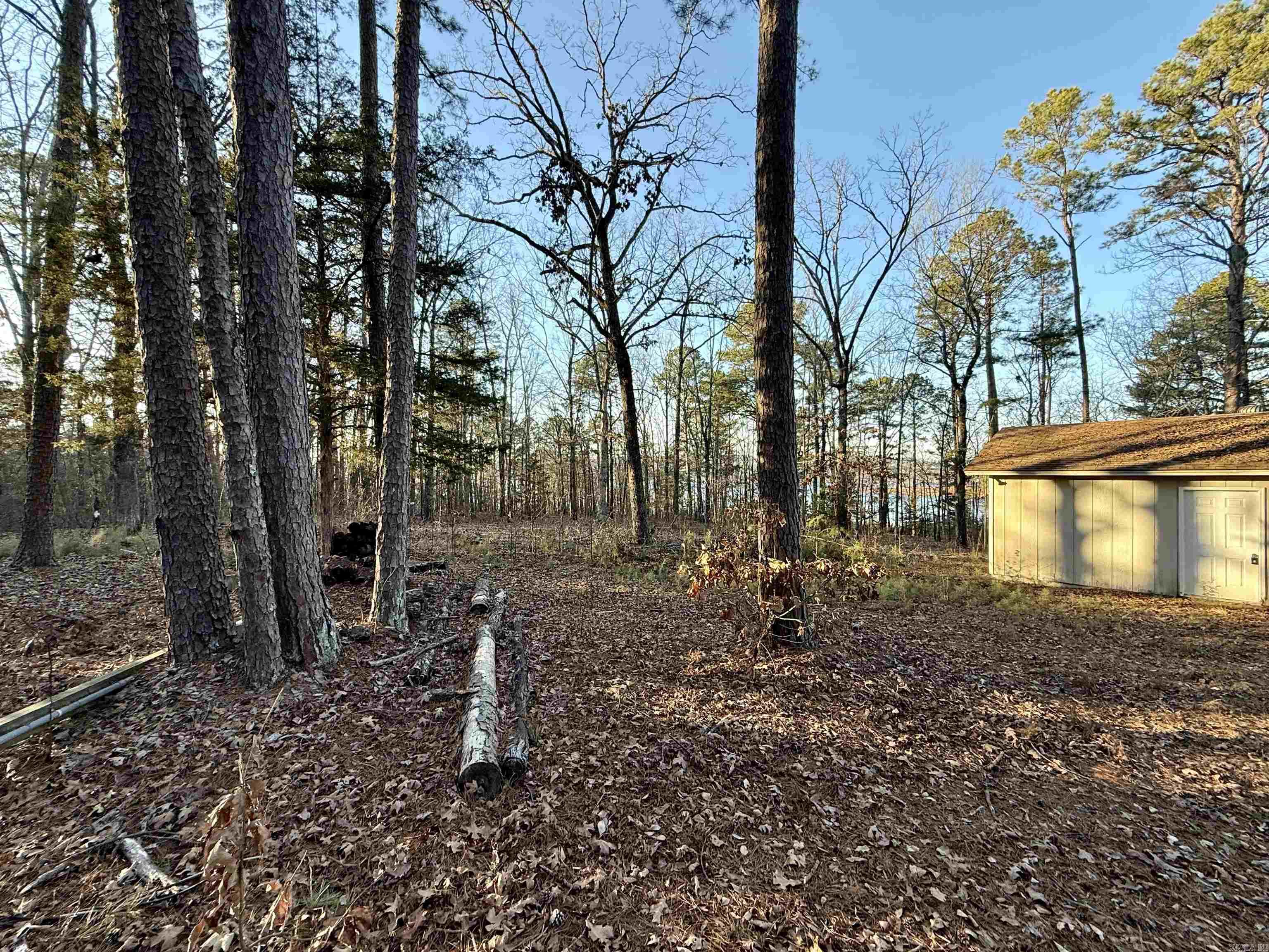 Crockett & Forrest Lake - Land