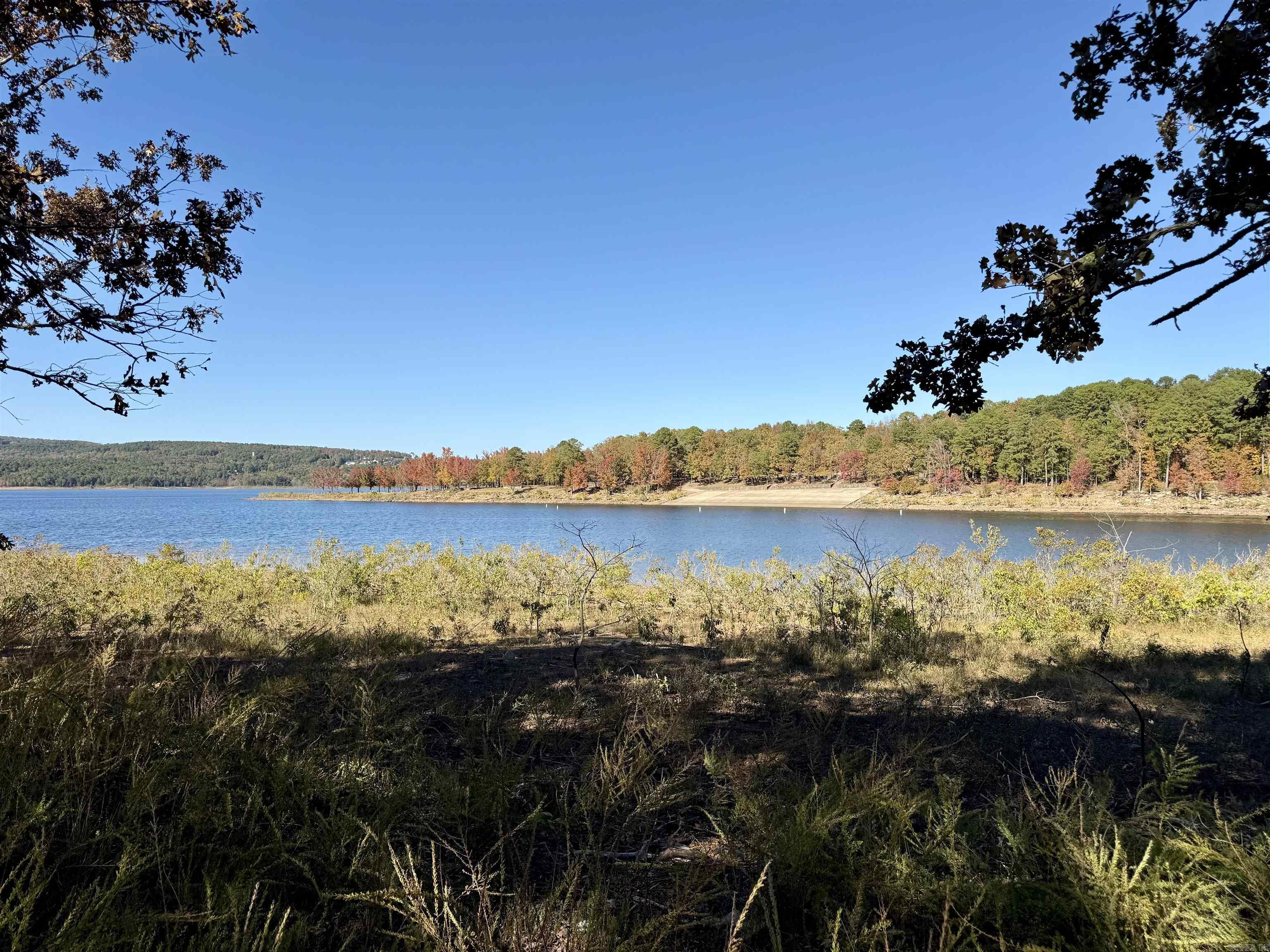 Crockett & Forrest Lake - Land