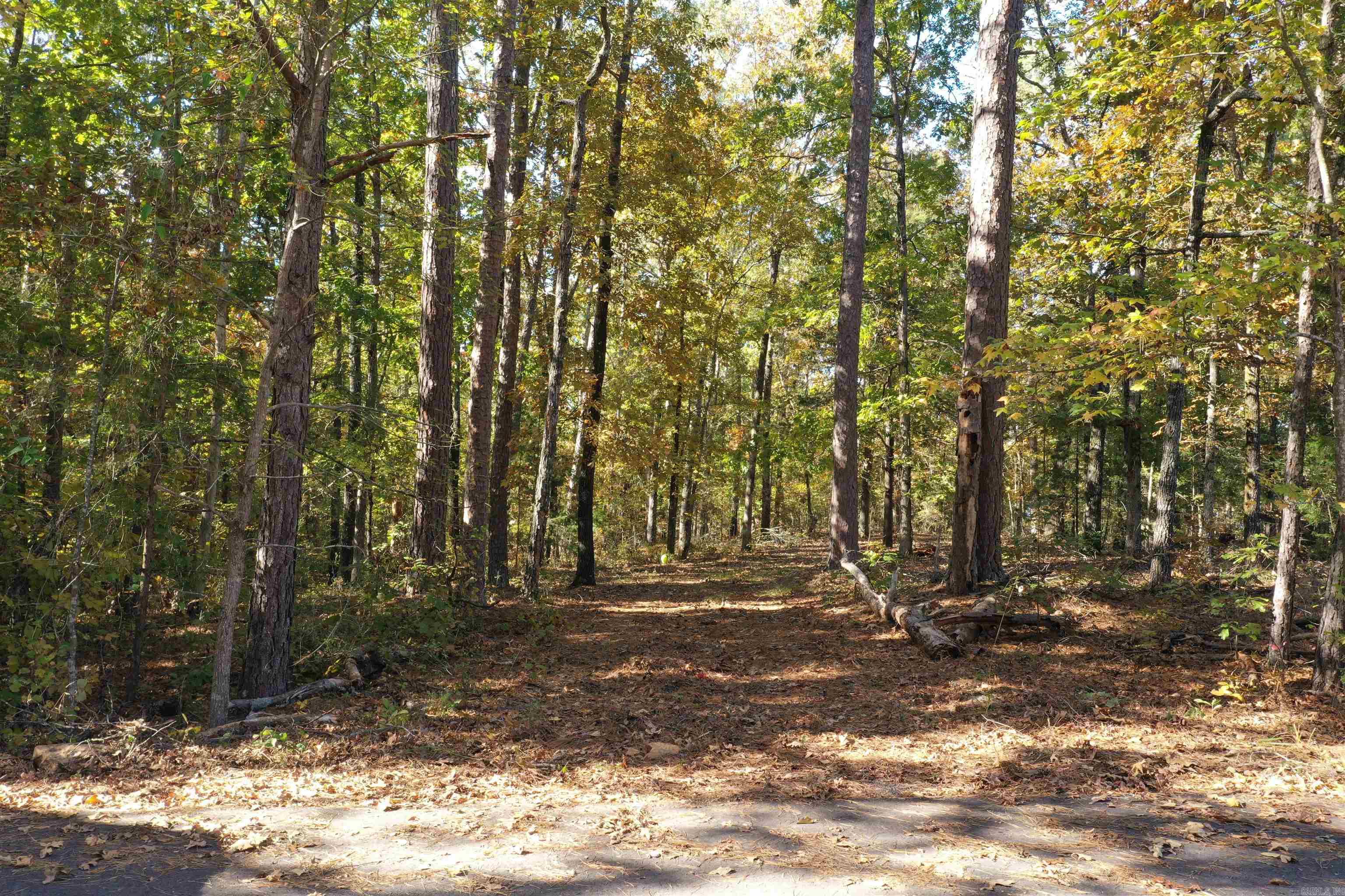 Crockett & Forrest Lake - Land