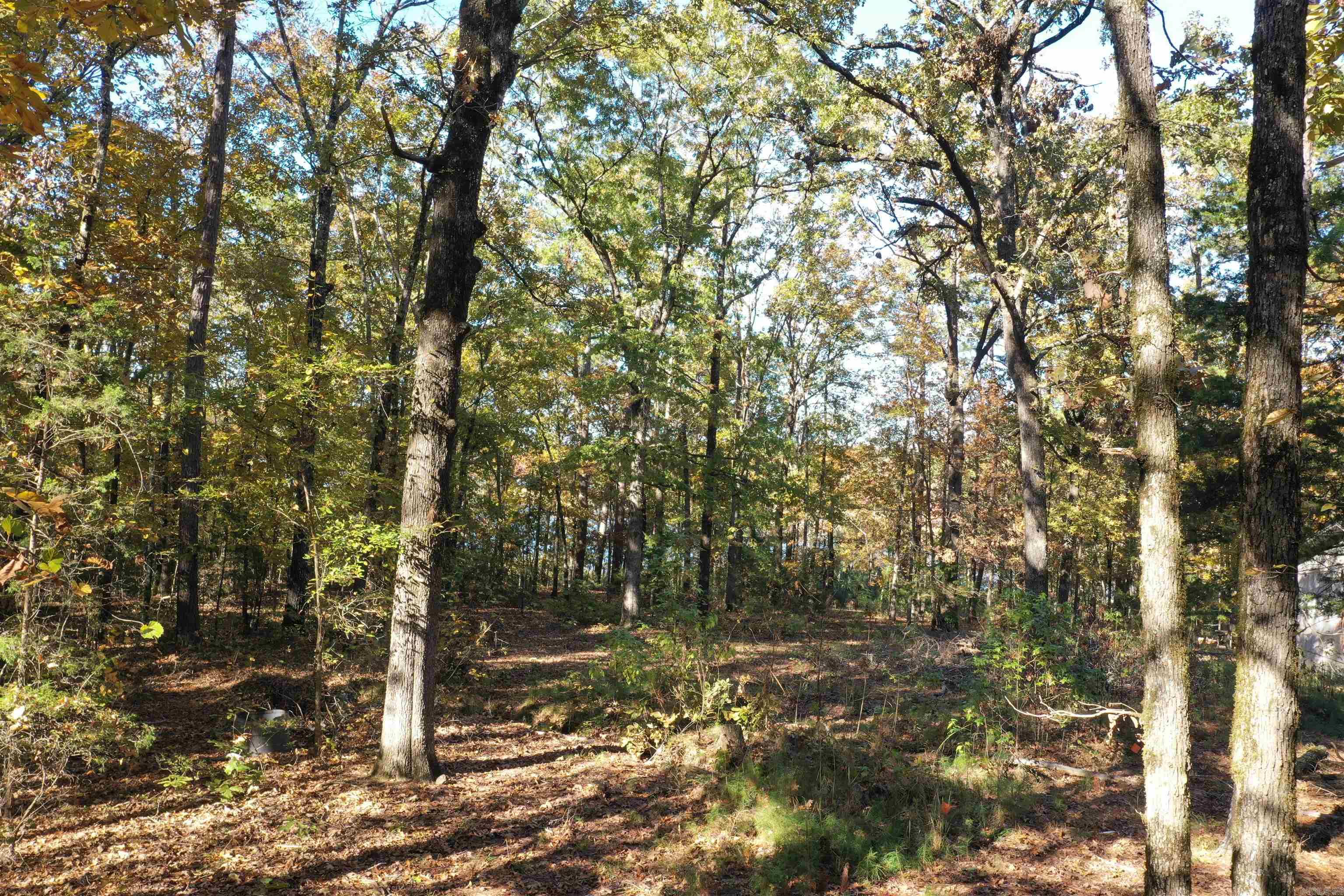 Crockett & Forrest Lake - Land