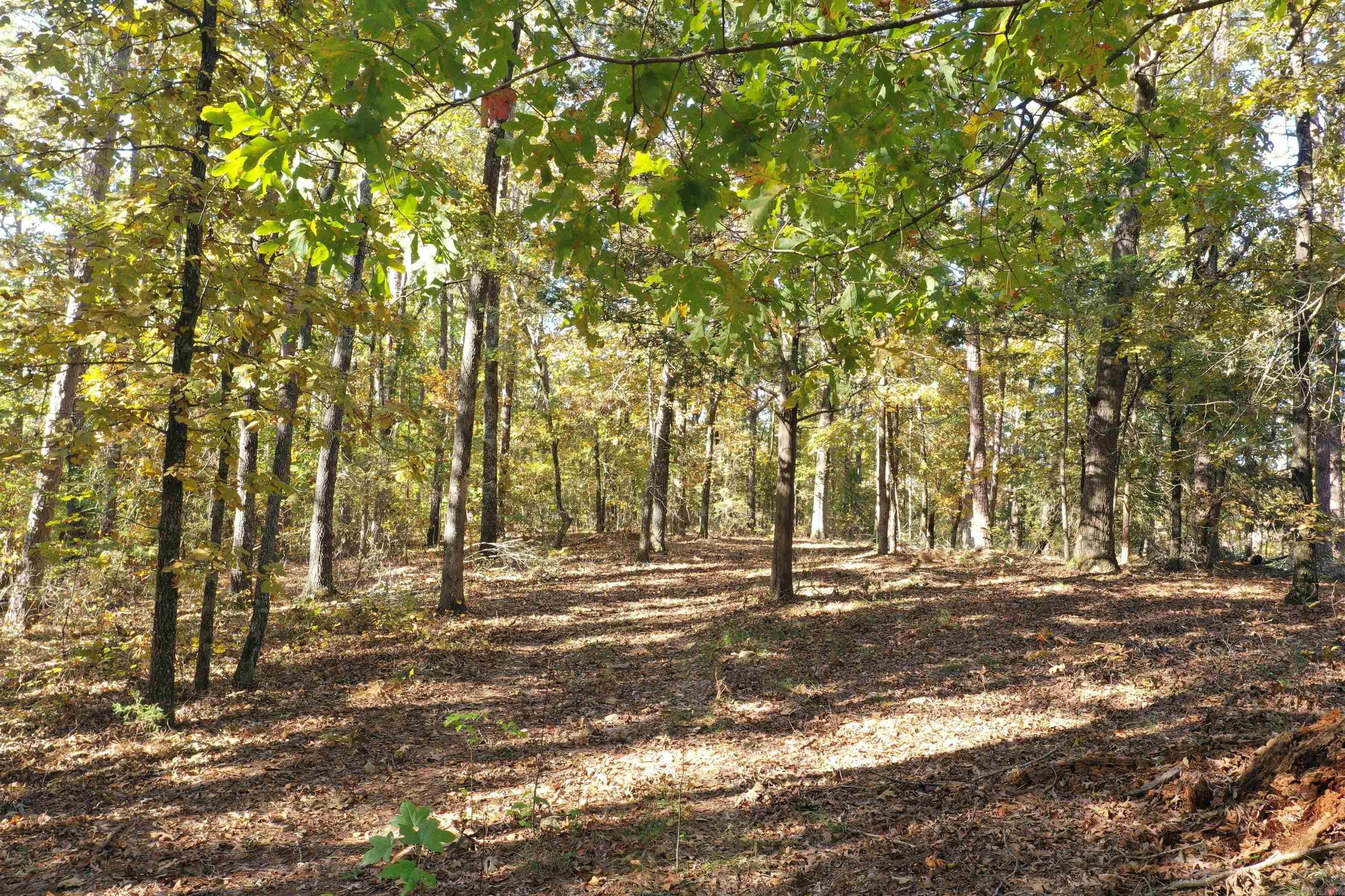 Crockett & Forrest Lake - Land