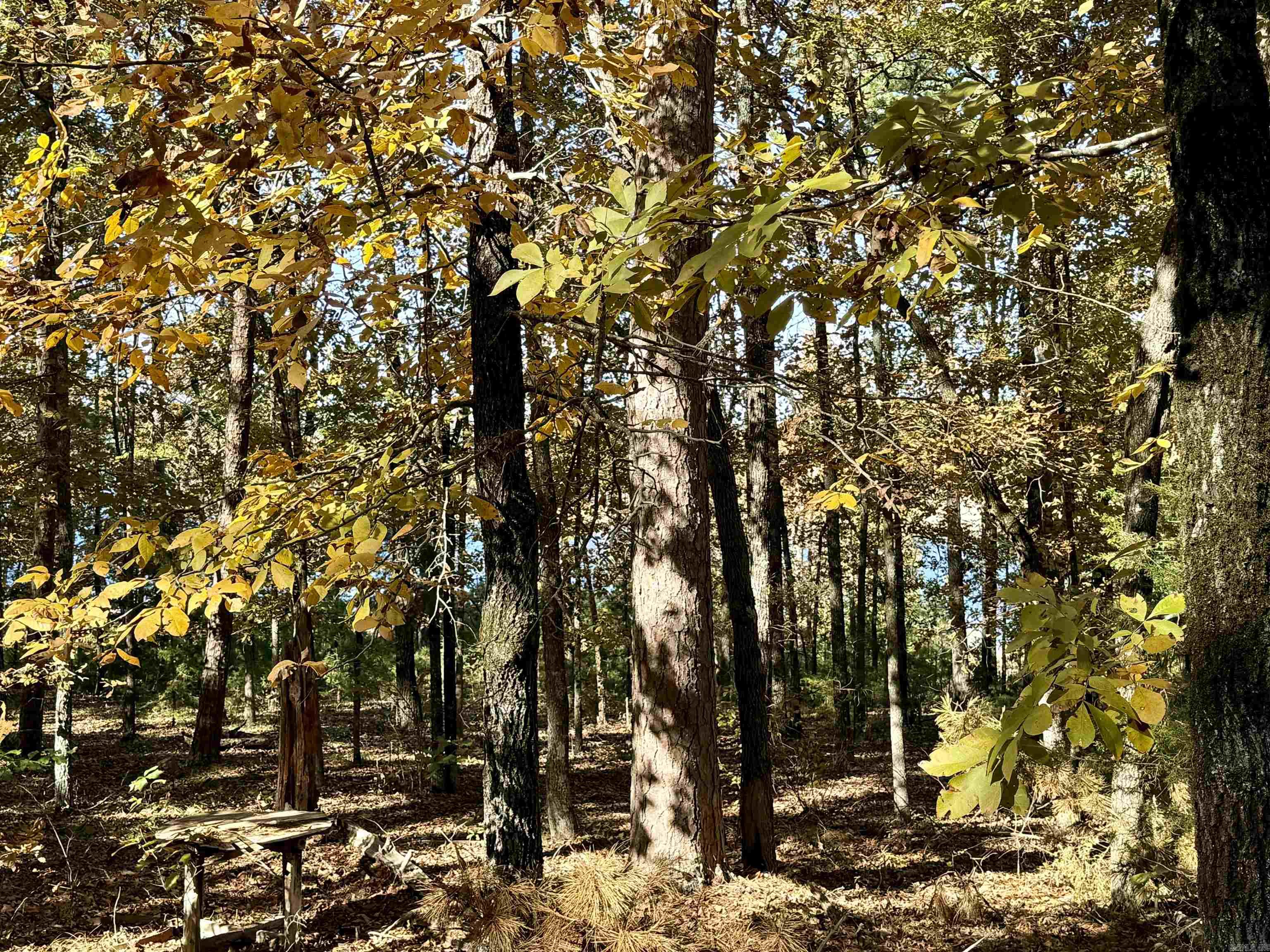 Crockett & Forrest Lake - Land