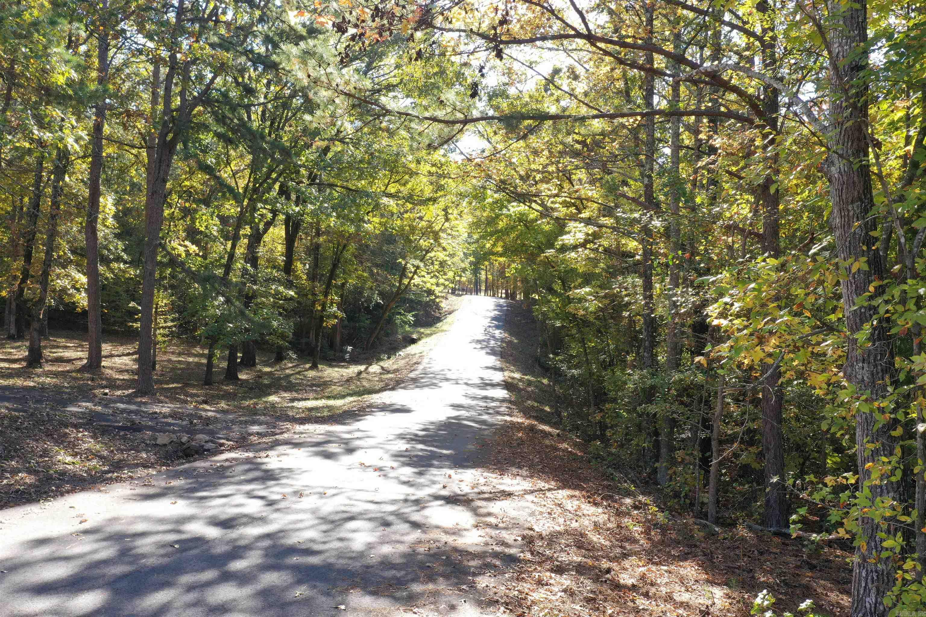 Crockett & Forrest Lake - Land