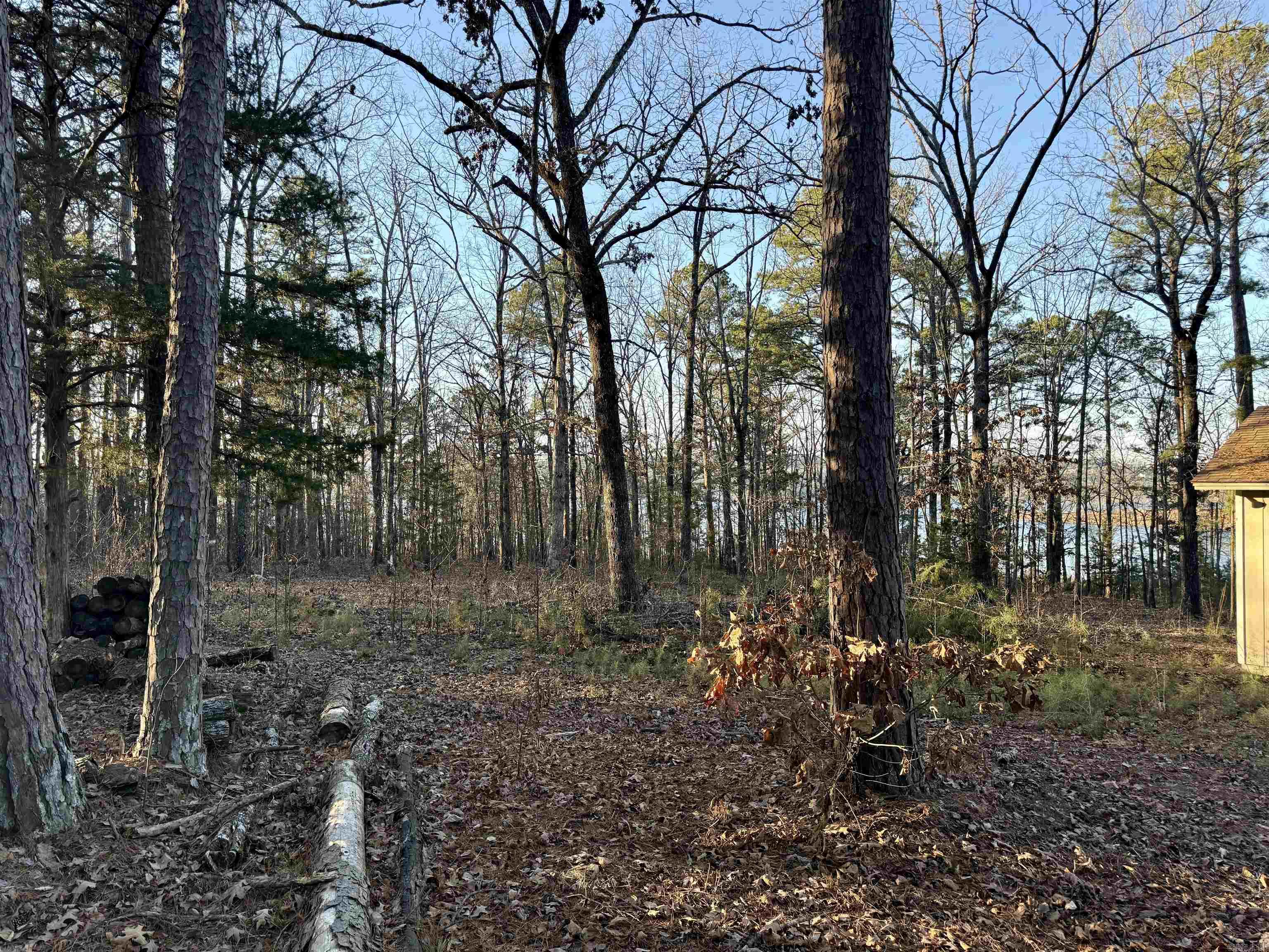 Crockett & Forrest Lake - Land