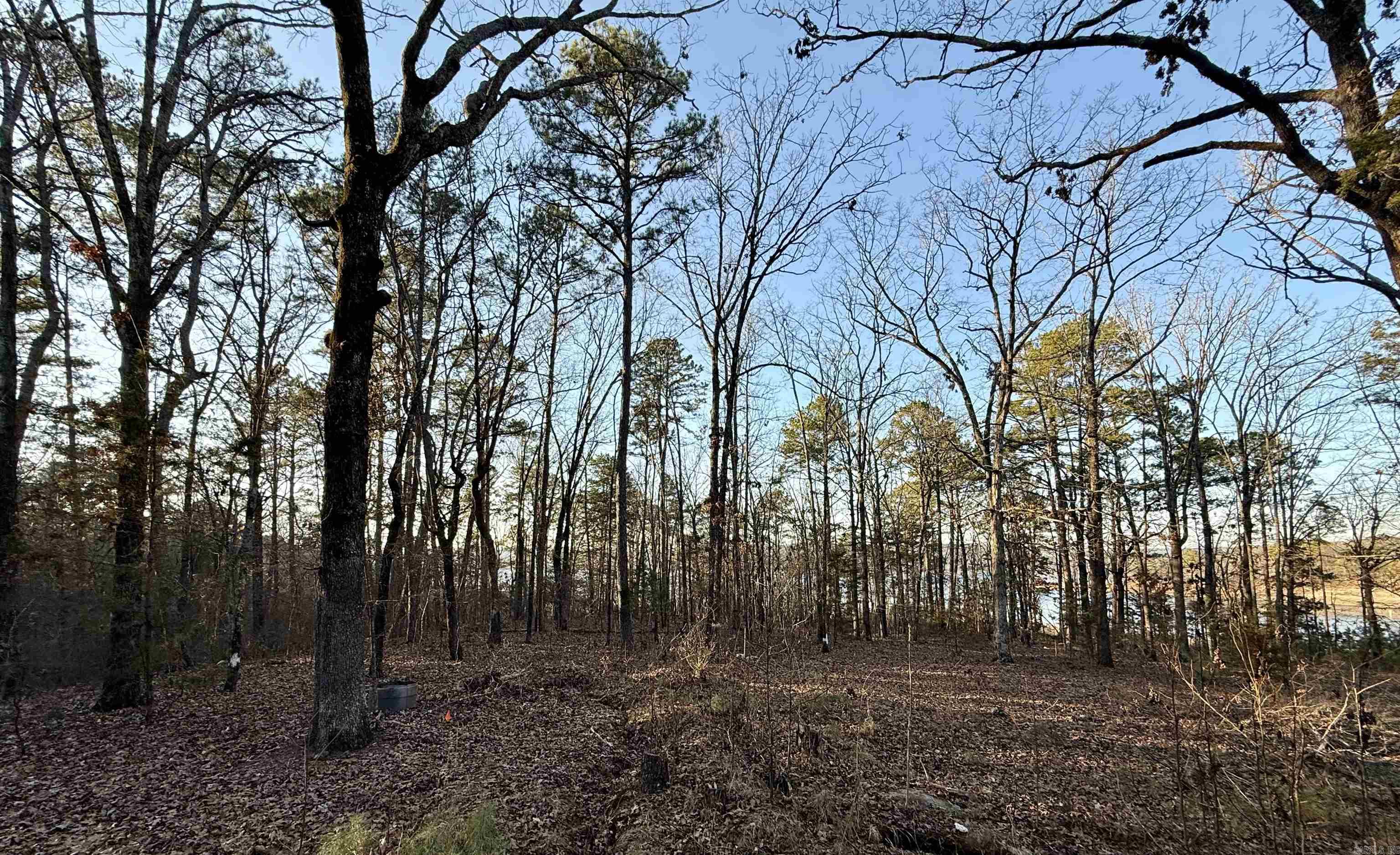 Crockett & Forrest Lake - Land