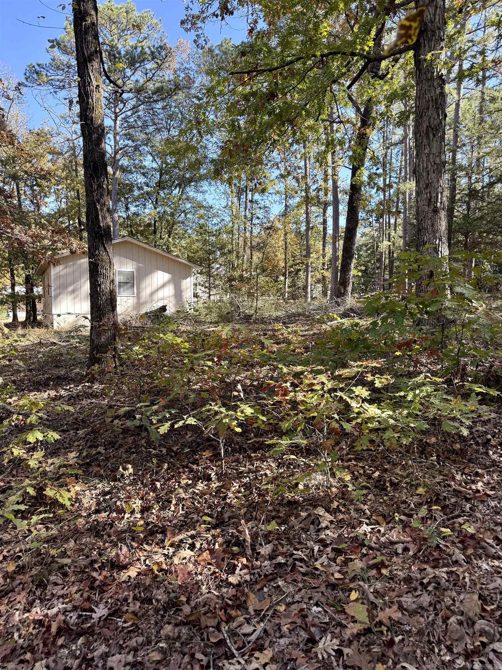 Crockett & Forrest Lake - Land