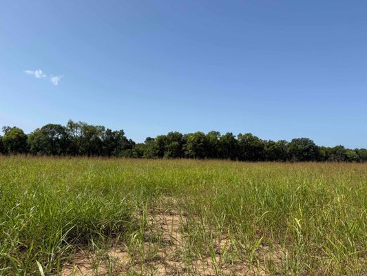 31 RIVER RIDGE RD, HEBER SPRINGS, AR 72543 - Image f0e242e9e841cd9ac810d9ecf9ebd445/252121791