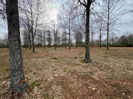 52 RW RANCH DR, GREENBRIER, AR 72058 - Image f0e577f48e5cba353bd48739ba4a278b/1749237366