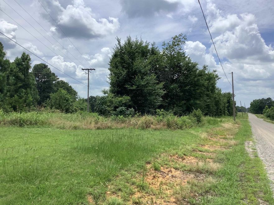 This is a great spot for your dream home. Lots of trees and a great place for a garden. City water is at the road.  If you need more land, there is more available.
