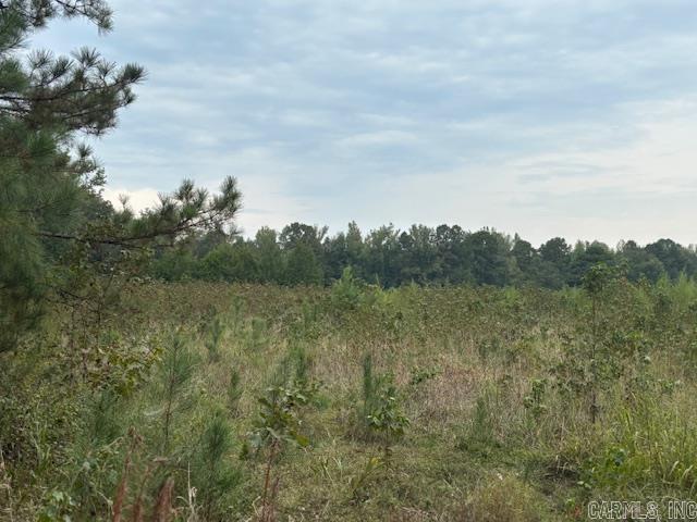 11+ acres in Malvern, Arkansas. Discover the perfect setting for your dream home on the 11+ acre corner parcel in Malvern. With plenty of space to spread out, you'll enjoy peaceful, private living surrounded by nature. Whether you're looking to build your forever home, create a small homestead or simply invest in land this property offers endless possibilities. Come create your dream estate and enjoy peaceful living with room to grow.