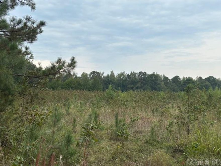 11+ acres in Malvern, Arkansas.   Discover the perfect setting for your dream home on the 11+ acre corner parcel in Malvern.  With plenty of space to spread out, you'll enjoy peaceful, private living surrounded by nature.  Whether you're looking to build your forever home, create a small homestead or simply invest in land this property offers endless possibilities.  Come create your dream estate and enjoy peaceful living with room to grow.