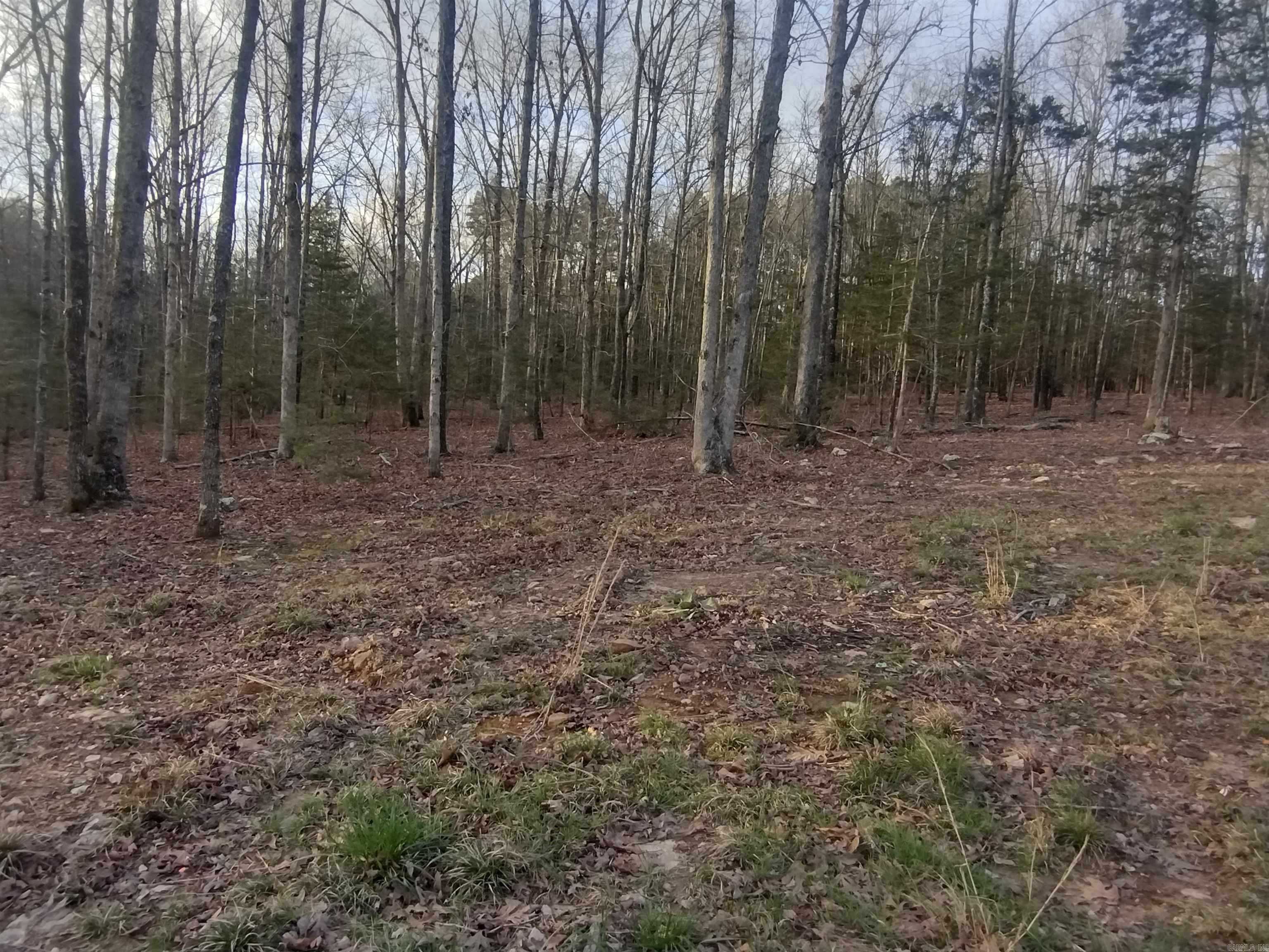 Metes & Bounds - Land