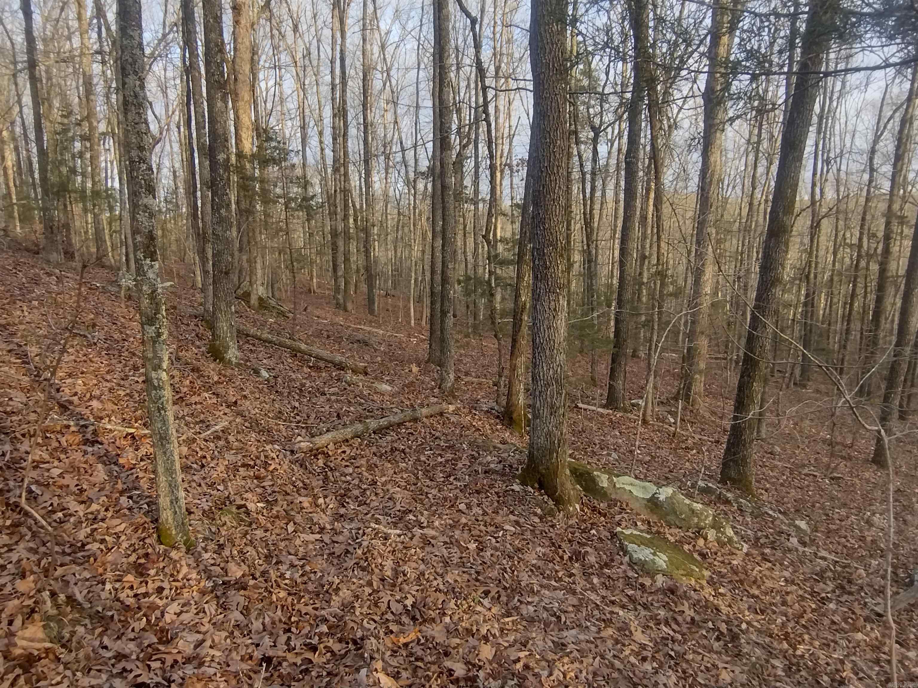 Metes & Bounds - Land