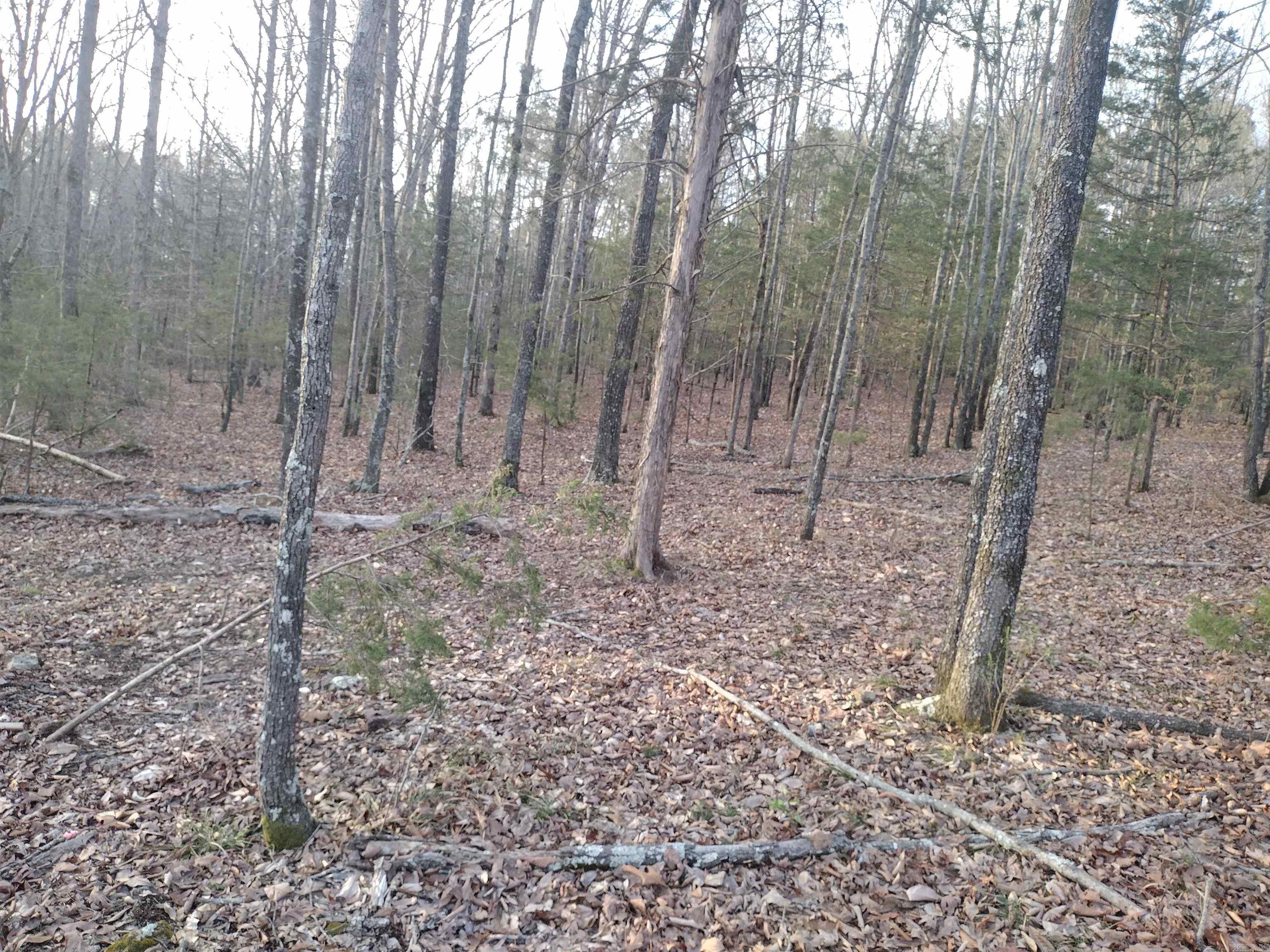 Metes & Bounds - Land