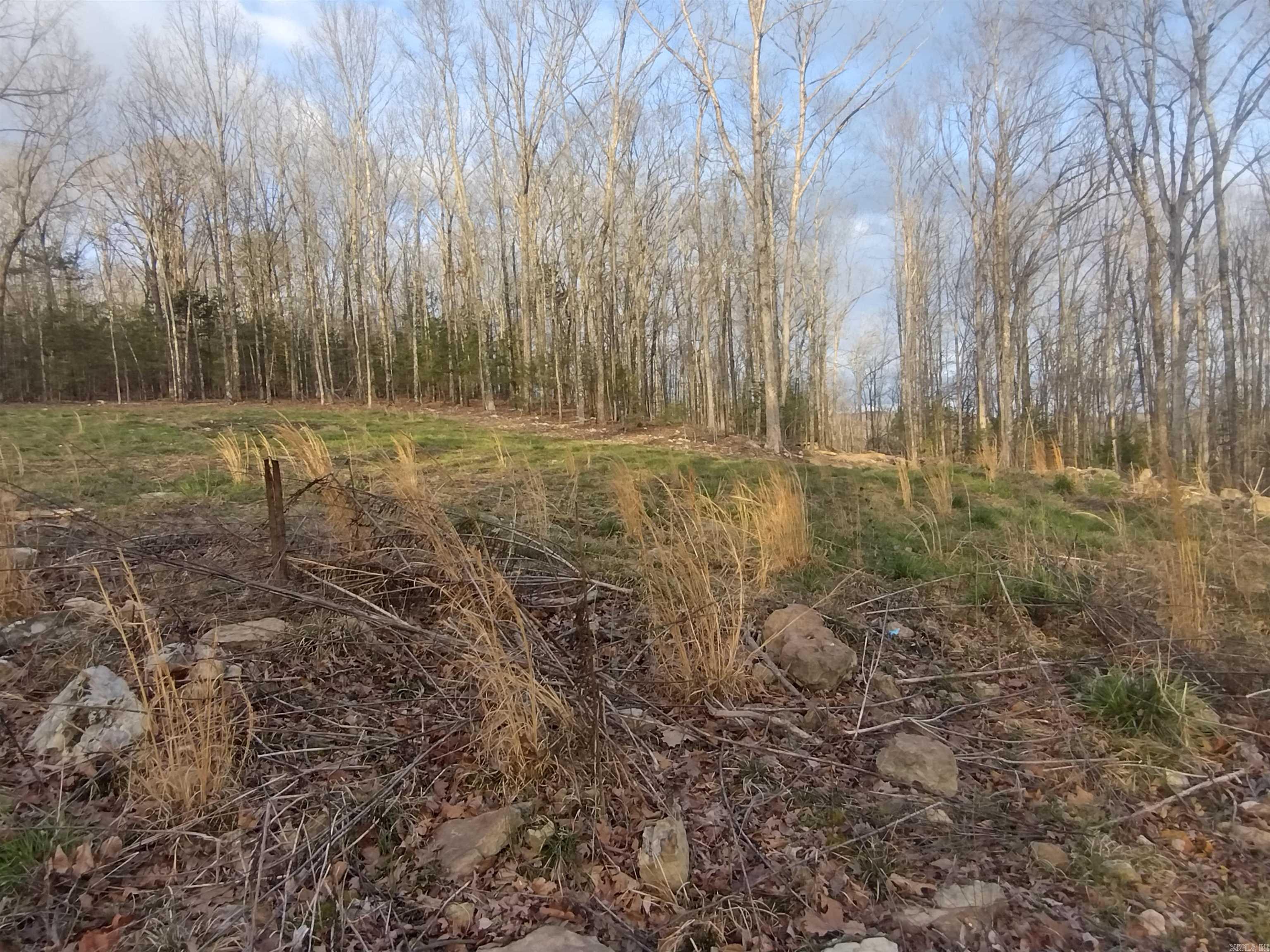 Metes & Bounds - Land