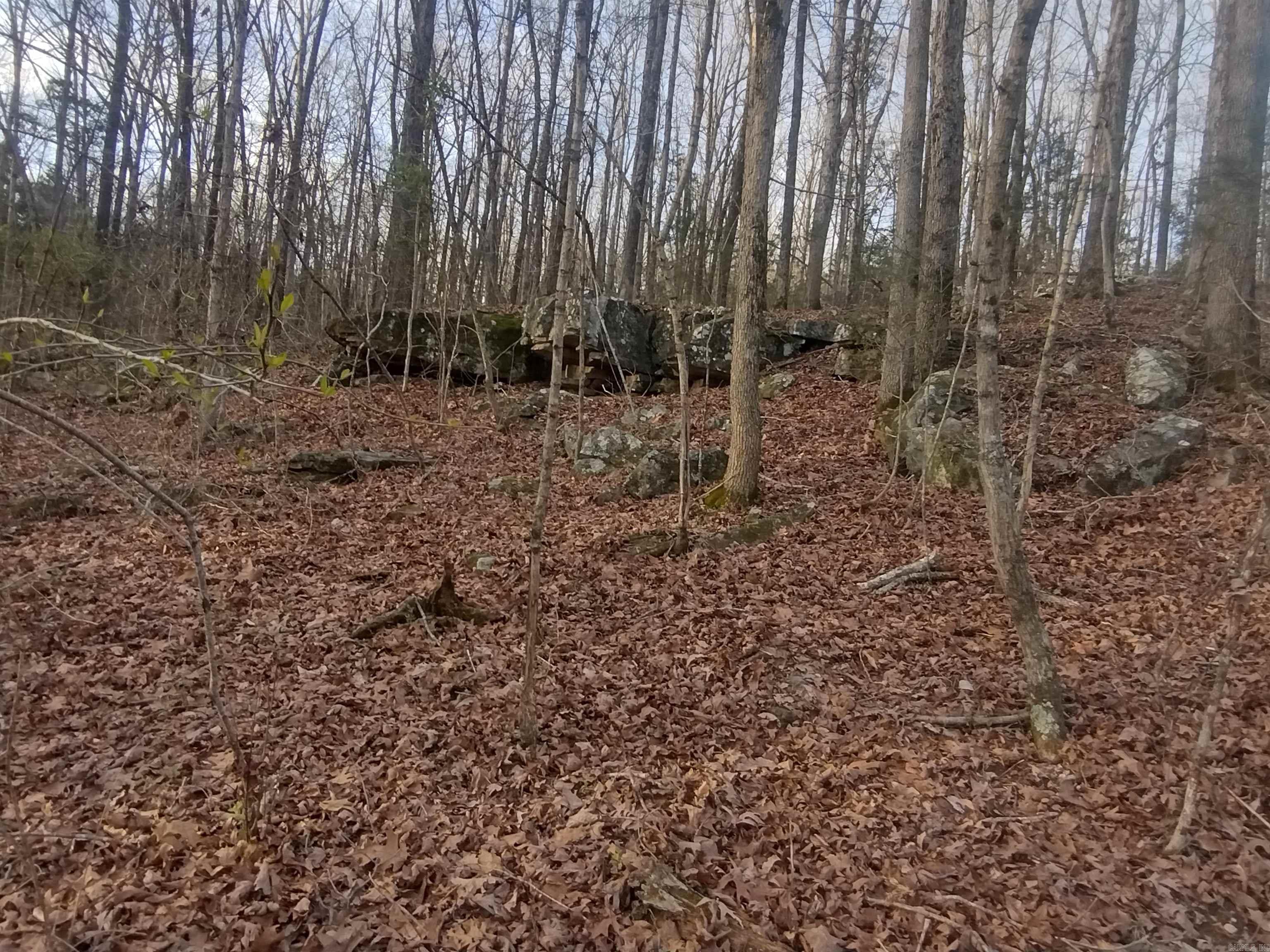 Metes & Bounds - Land