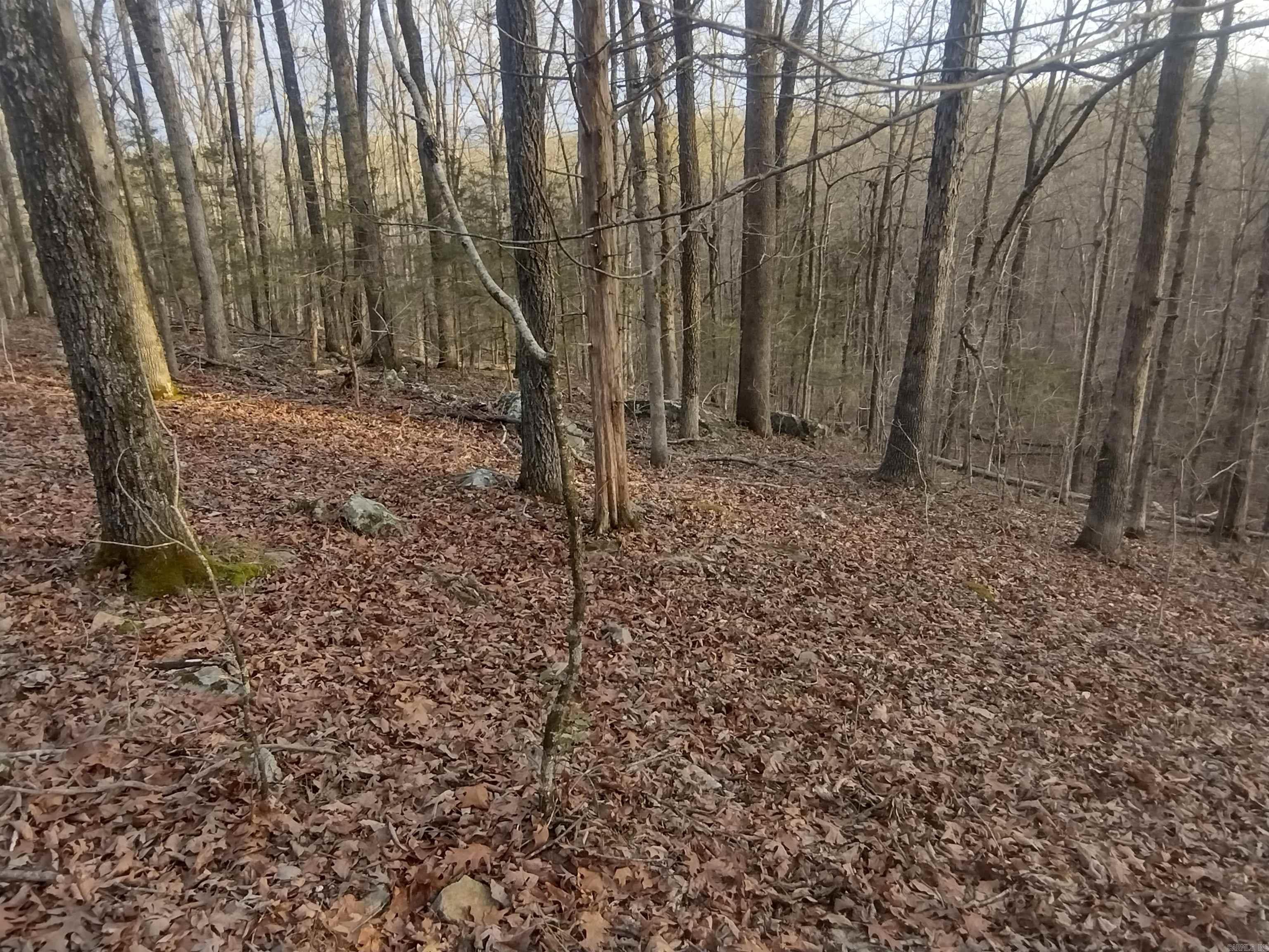 Metes & Bounds - Land