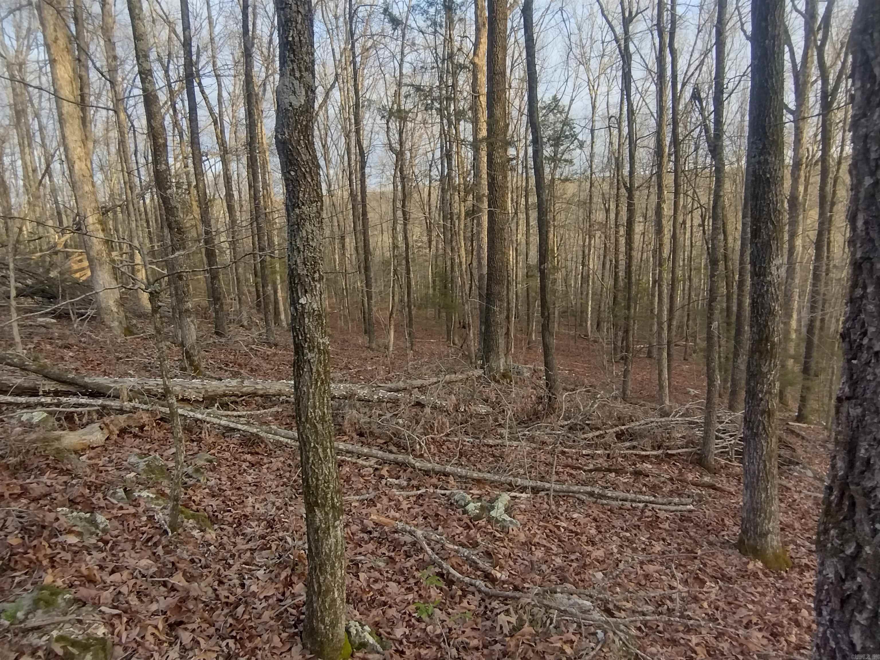 Metes & Bounds - Land