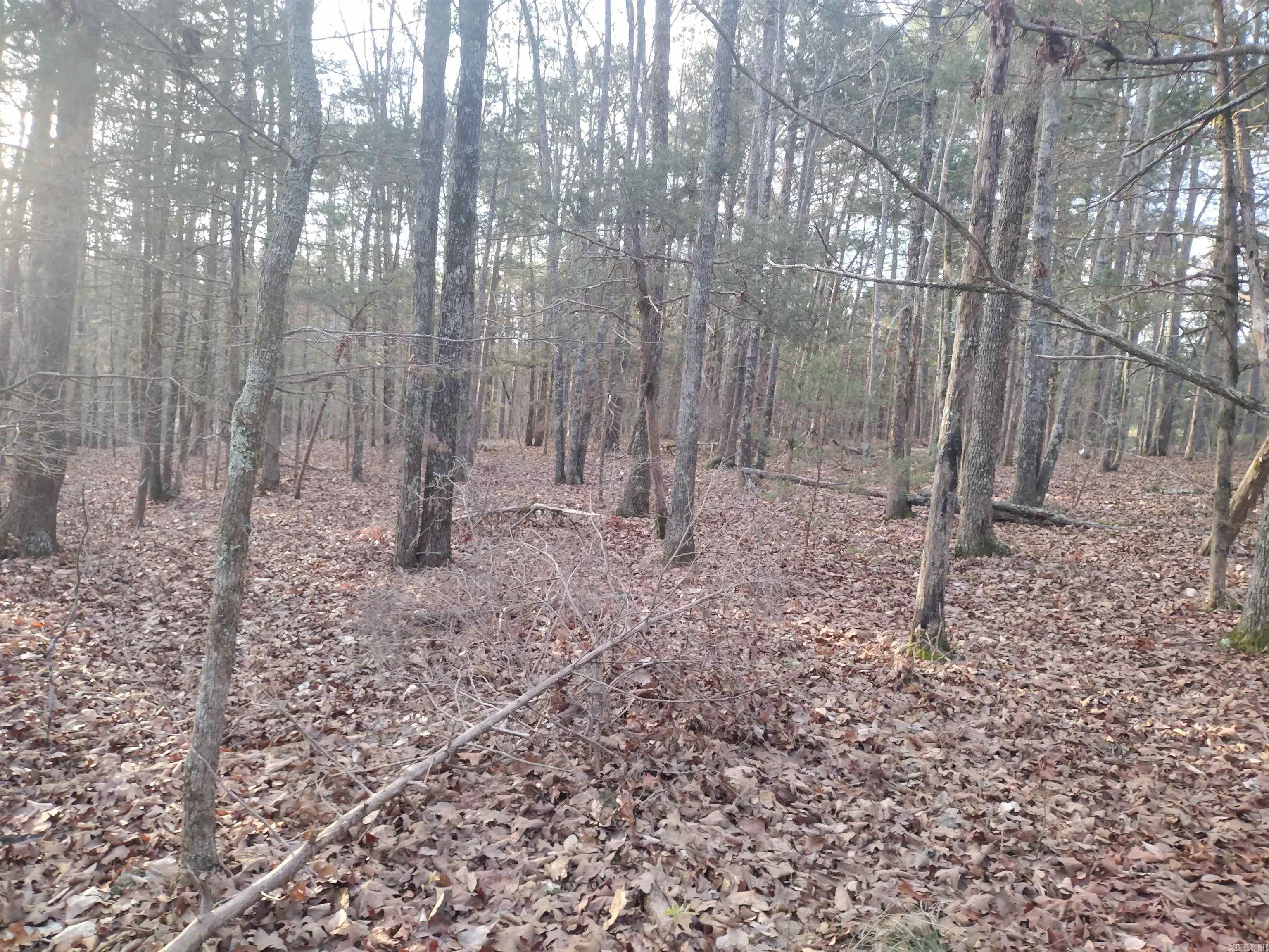 Metes & Bounds - Land