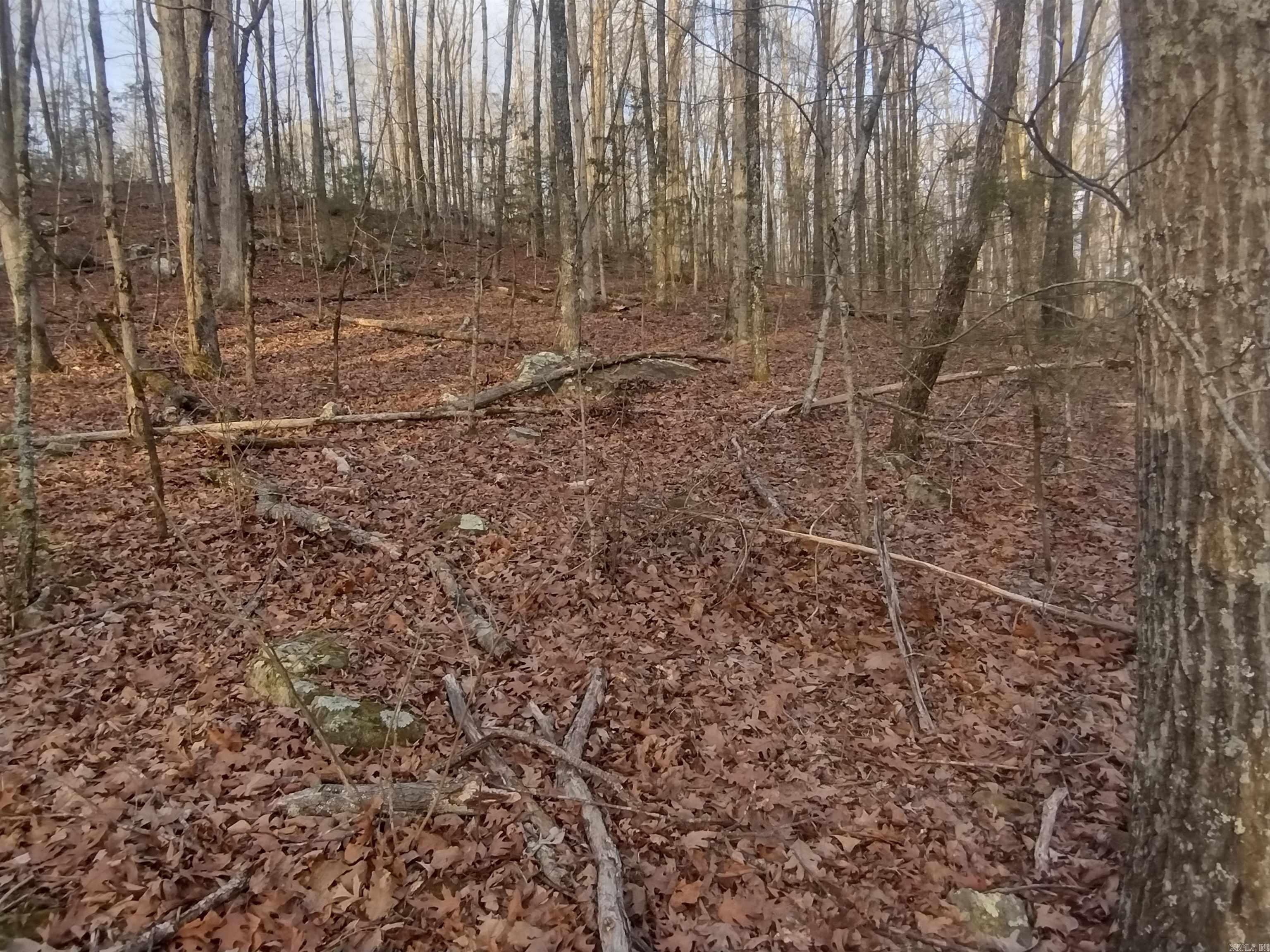 Metes & Bounds - Land