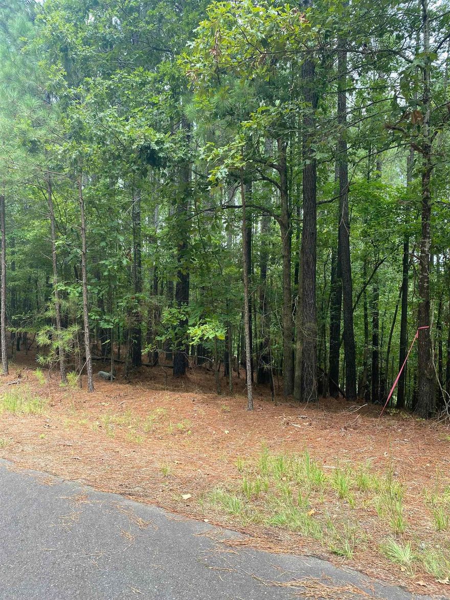 Beautiful "Golf Course Frontage Lot" on Granada Golf Course.  Great area in the east end of Hot Springs Village near several of the amenities s the village as to offer.  Lovely homes in the area.  Won't last long at this price.