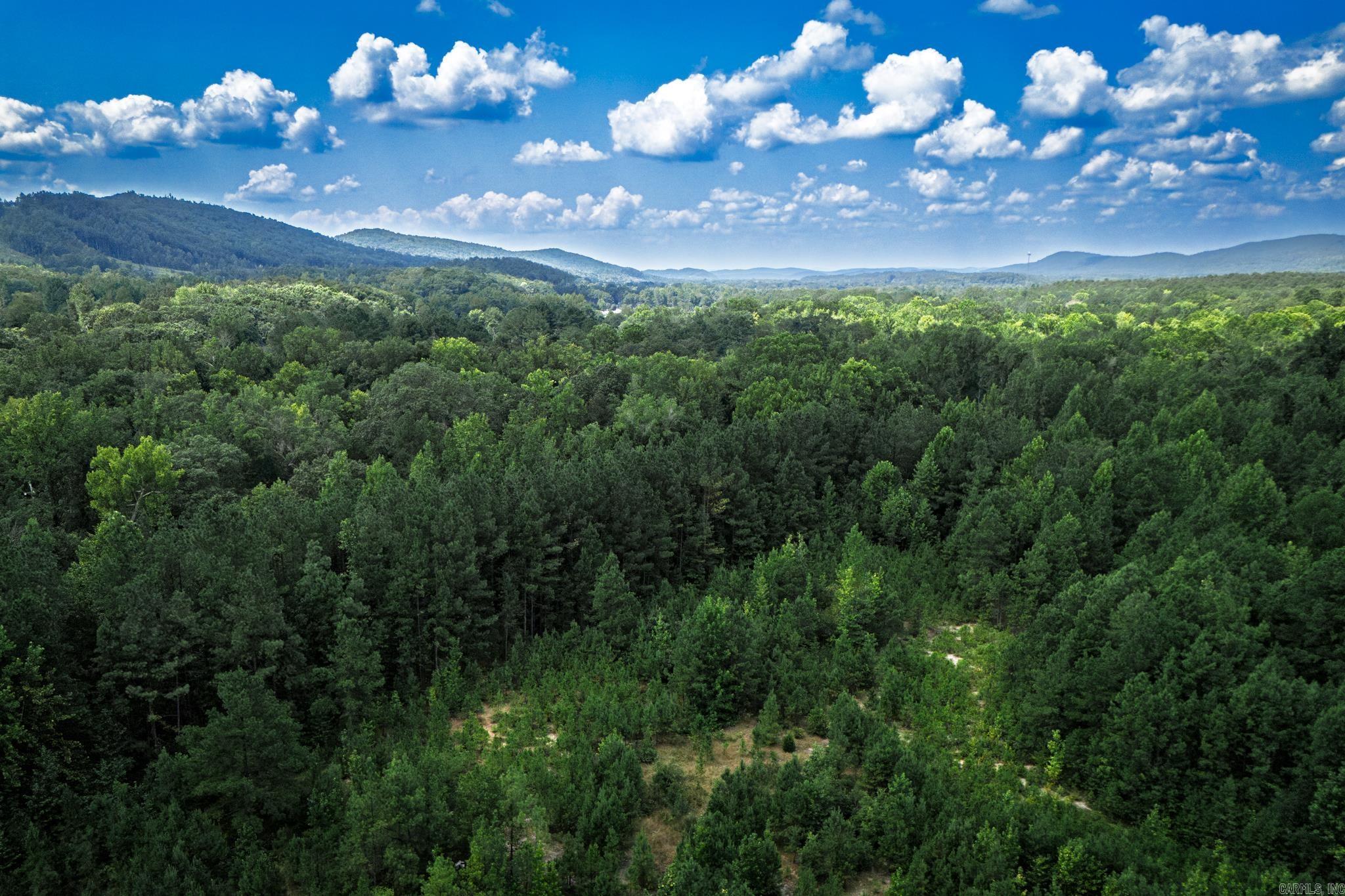 A Rare Family Legacy on Glazypeau Creek! For generations, this 21+acre Mountain Pine property has been a cherished family treasure ā and now itās ready for its next chapter. Perfectly positioned along scenic Glazypeau Road, this level land offers a blend of rural charm and convenience, with shopping, dining, and multiple lakes just minutes away. The property is bordered by the serene Glazypeau Creek, providing a natural backdrop for recreation, relaxation, or future development. Whether you dream of building your own homestead, creating a private getaway, or holding as an investment, this unique piece of Garland County!