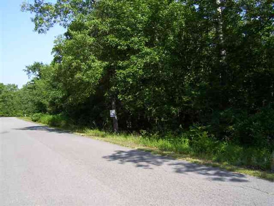 NICE BUILDING LOT CLOSE TO CONWAY, PAVED STREETS AND CONWAY SCHOOLS. SEE AGENT REMARKS