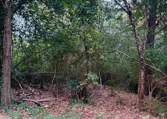 26 E LEE AVE, SHERWOOD, AR 72120 - Image f12462a8fcb63021dfcfaac54bca89df/170502498