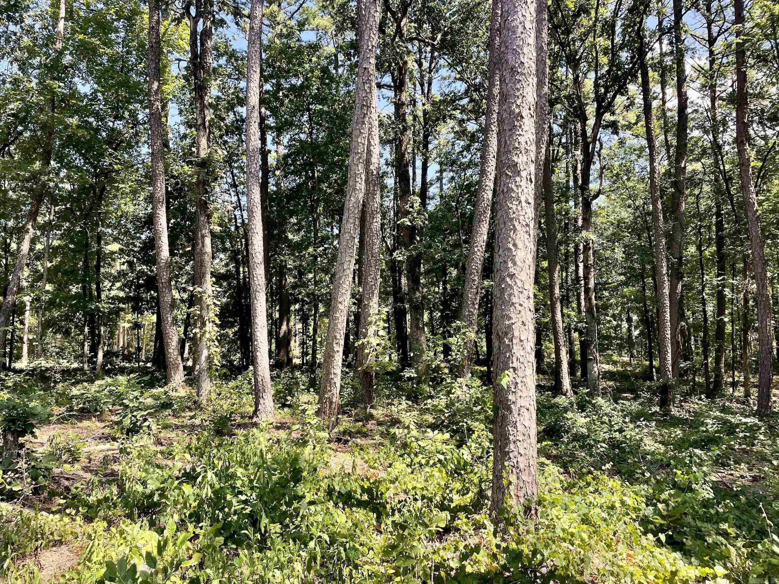 Not in Subdivision - Land