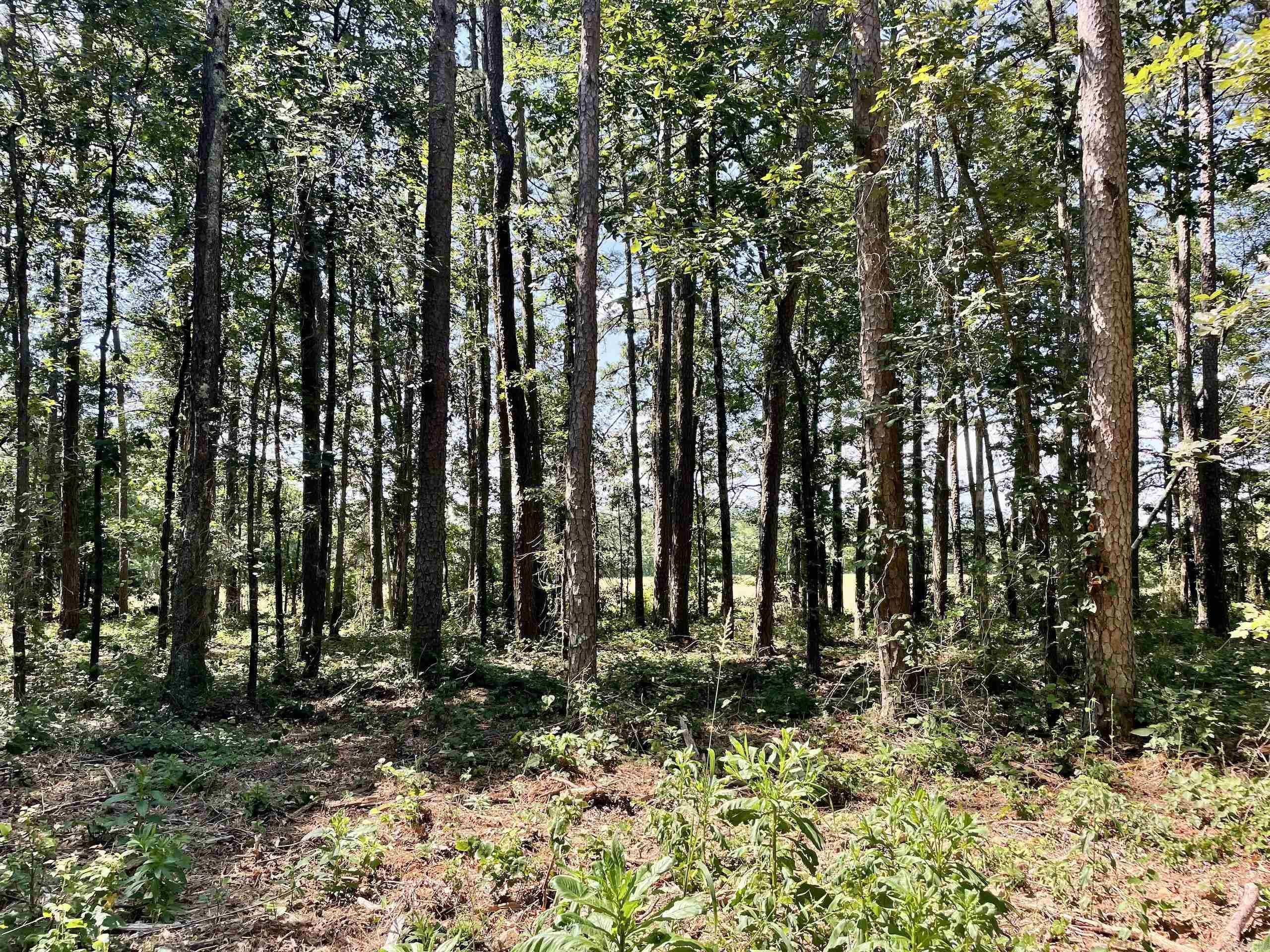 Not in Subdivision - Land