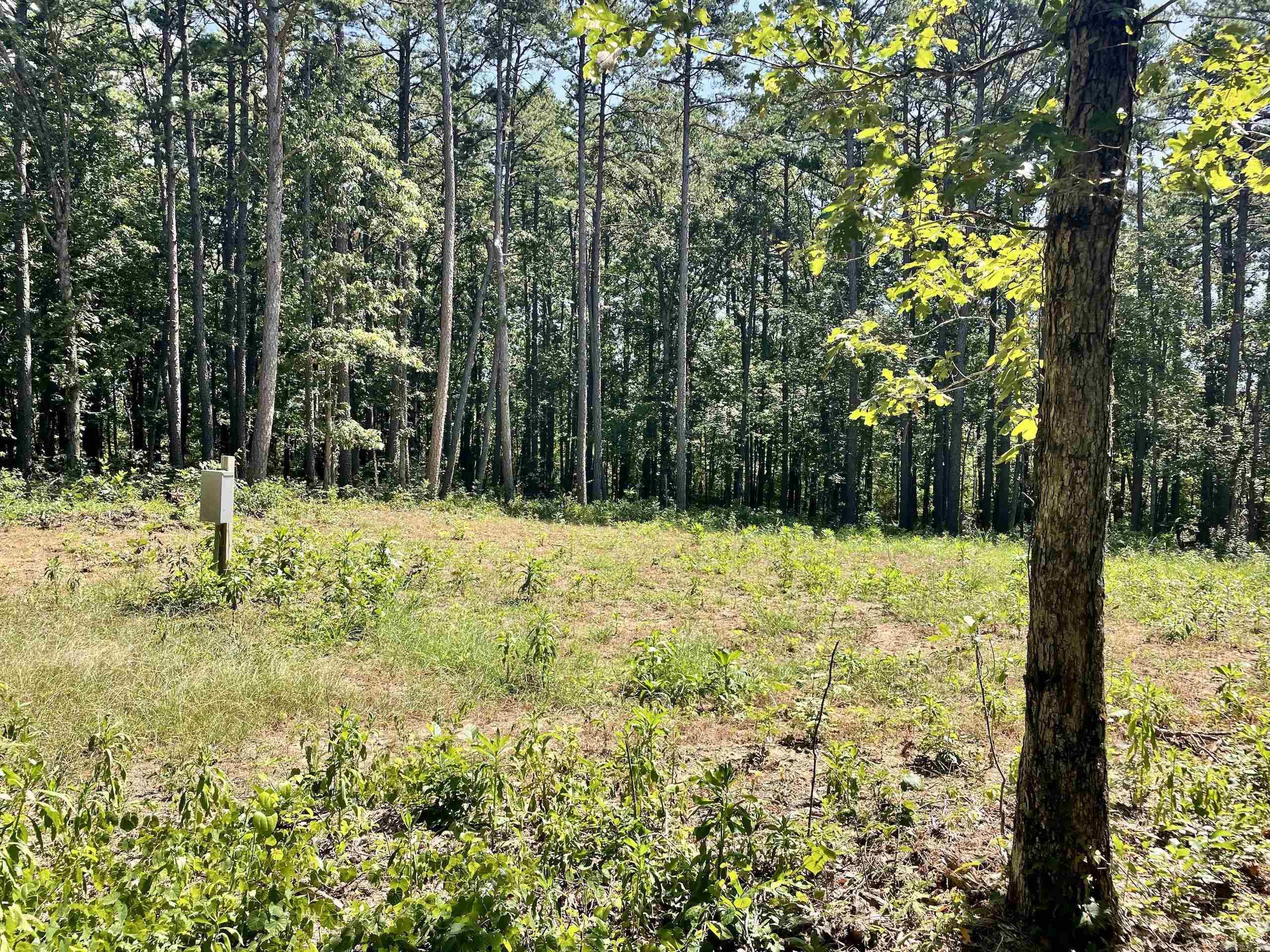 Not in Subdivision - Land
