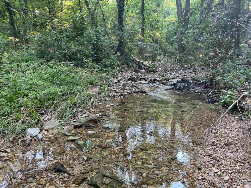 YEAR ROUND CREEK!! Great location for this 30 acres m/l perfectly situated half way between Harrison, AR and Branson, MO!! Only 1/4 mile off of Hwy 65. The property features Ozark mountain views, 3 acres of pasture, nice building sites, ATV trails, no restrictions, and great hunting with lots of deer. Come watch the minnows swim around and listen to the water flow. This is a must see.