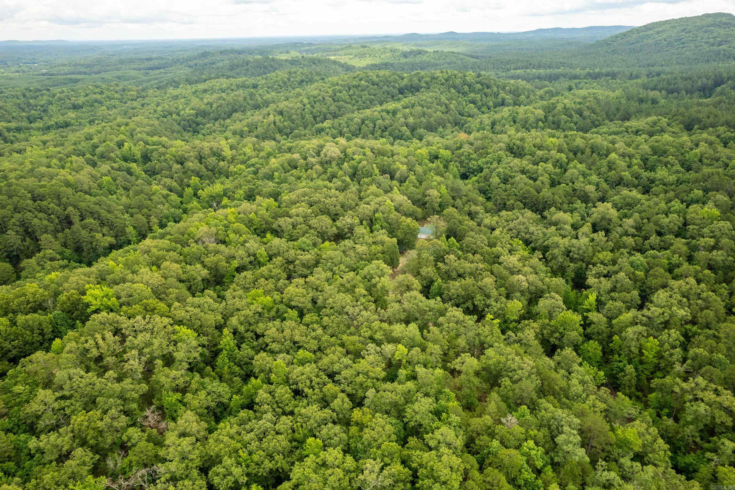 Natural Springs - Residential