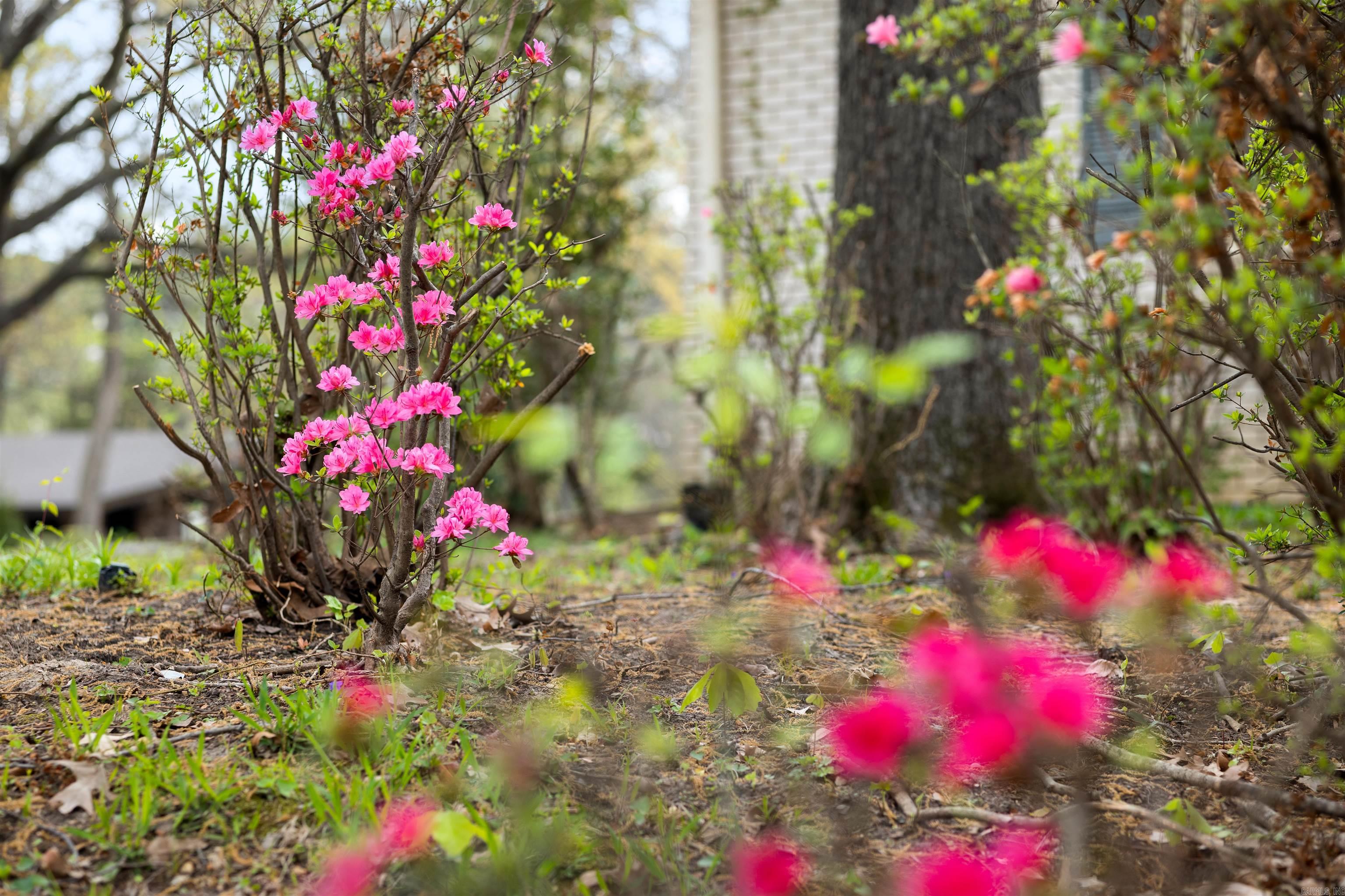 Parkers Woodland Hills 5 - Residential