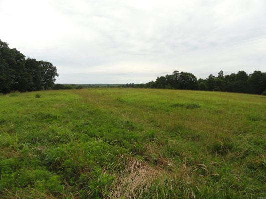 386 REEDVILLE RD, SAINT JOE, AR 72675 - Image f15bff2ed4d2ee6a3d53316f9d62e571/1045217700