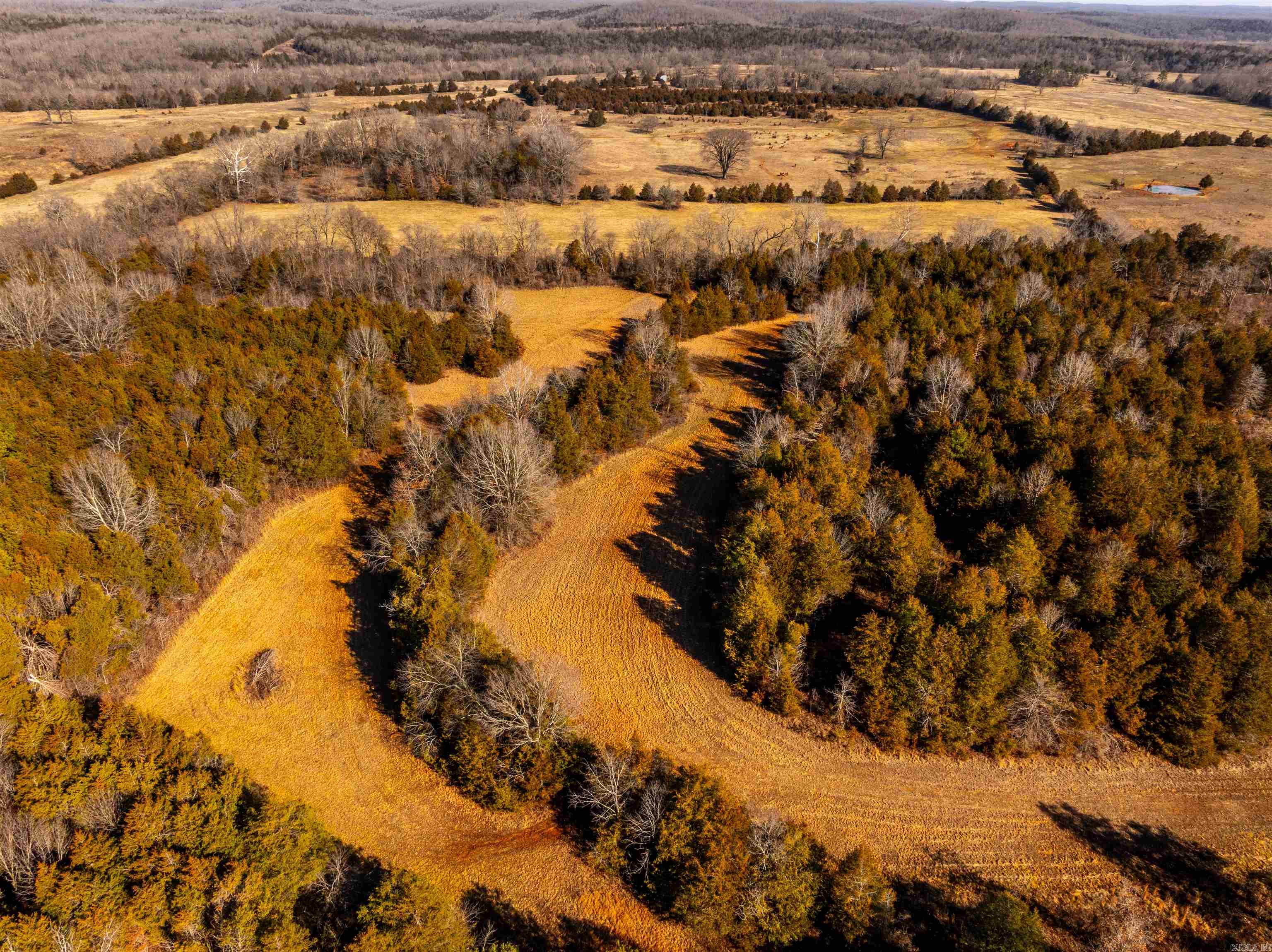 Metes & Bounds - Land