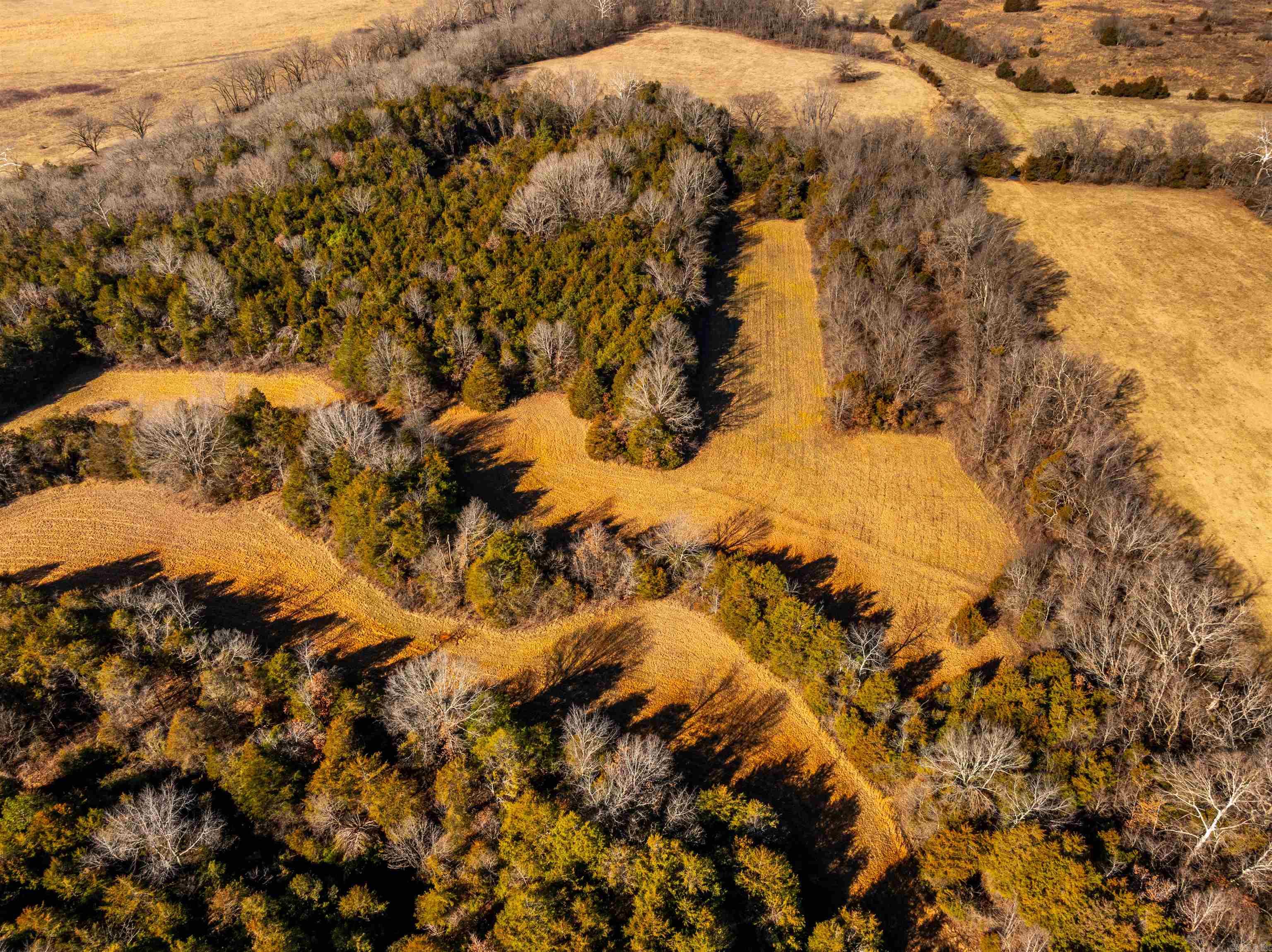 Metes & Bounds - Land