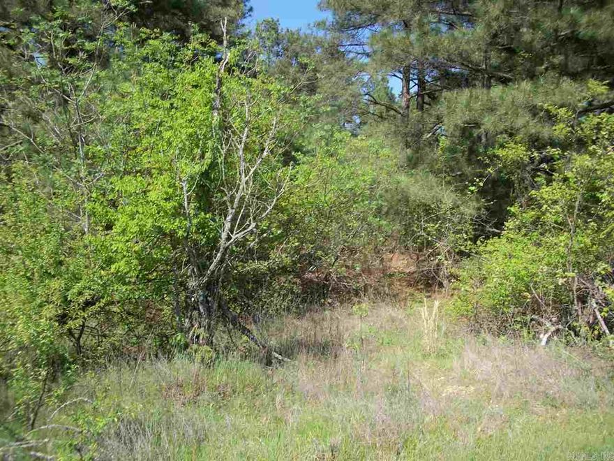 **Rural acreage**Level, wooded**Build your dream home**Sheridan School District**Close to Little Rock, Benton or Bryant**