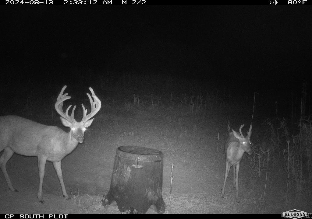 Metes & Bounds - Farm