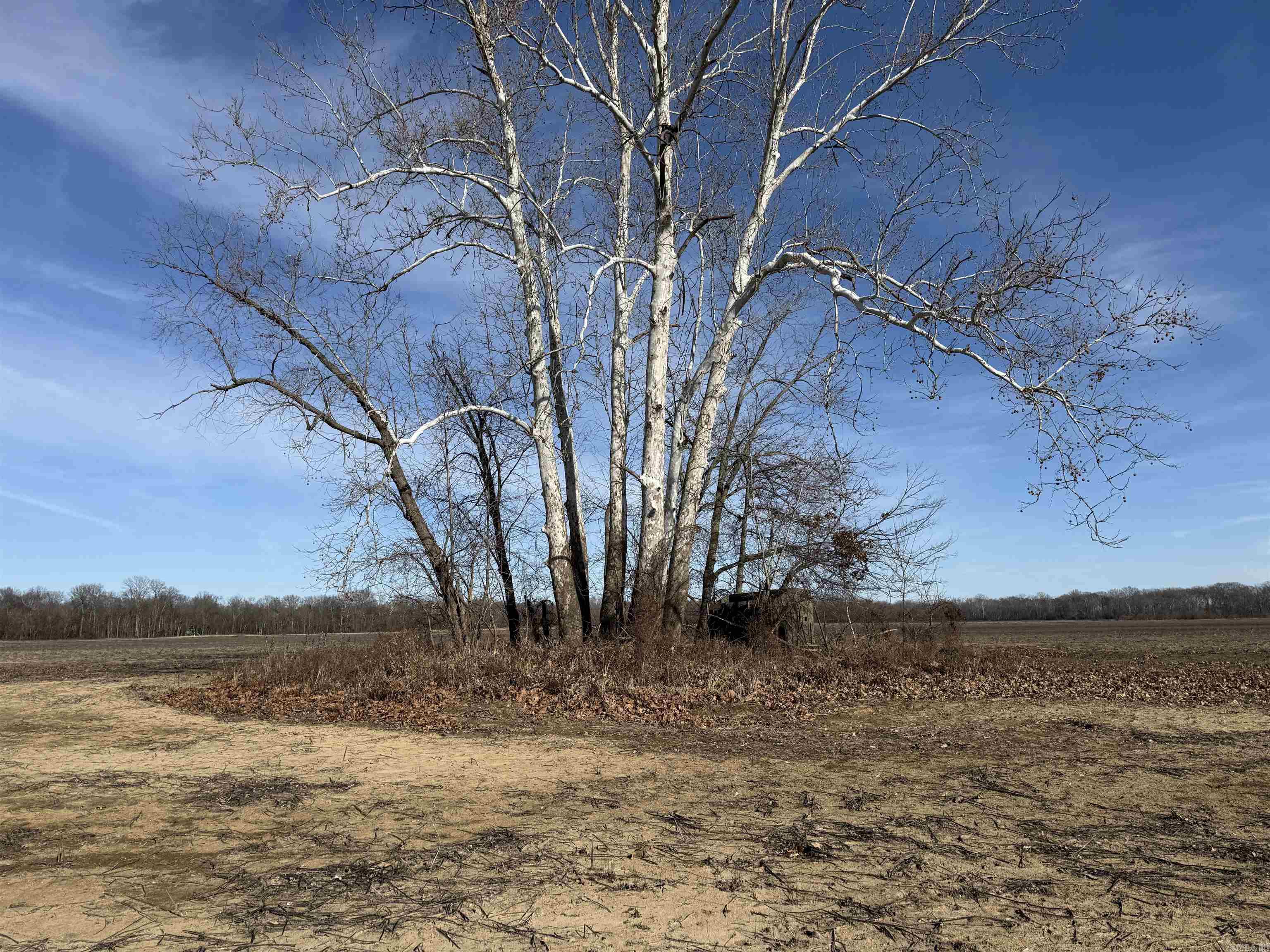 Metes & Bounds - Farm