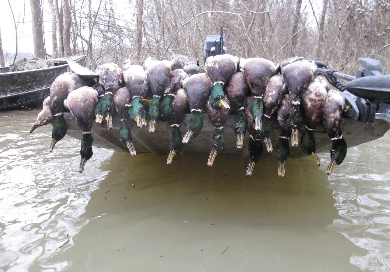 Metes & Bounds - Farm