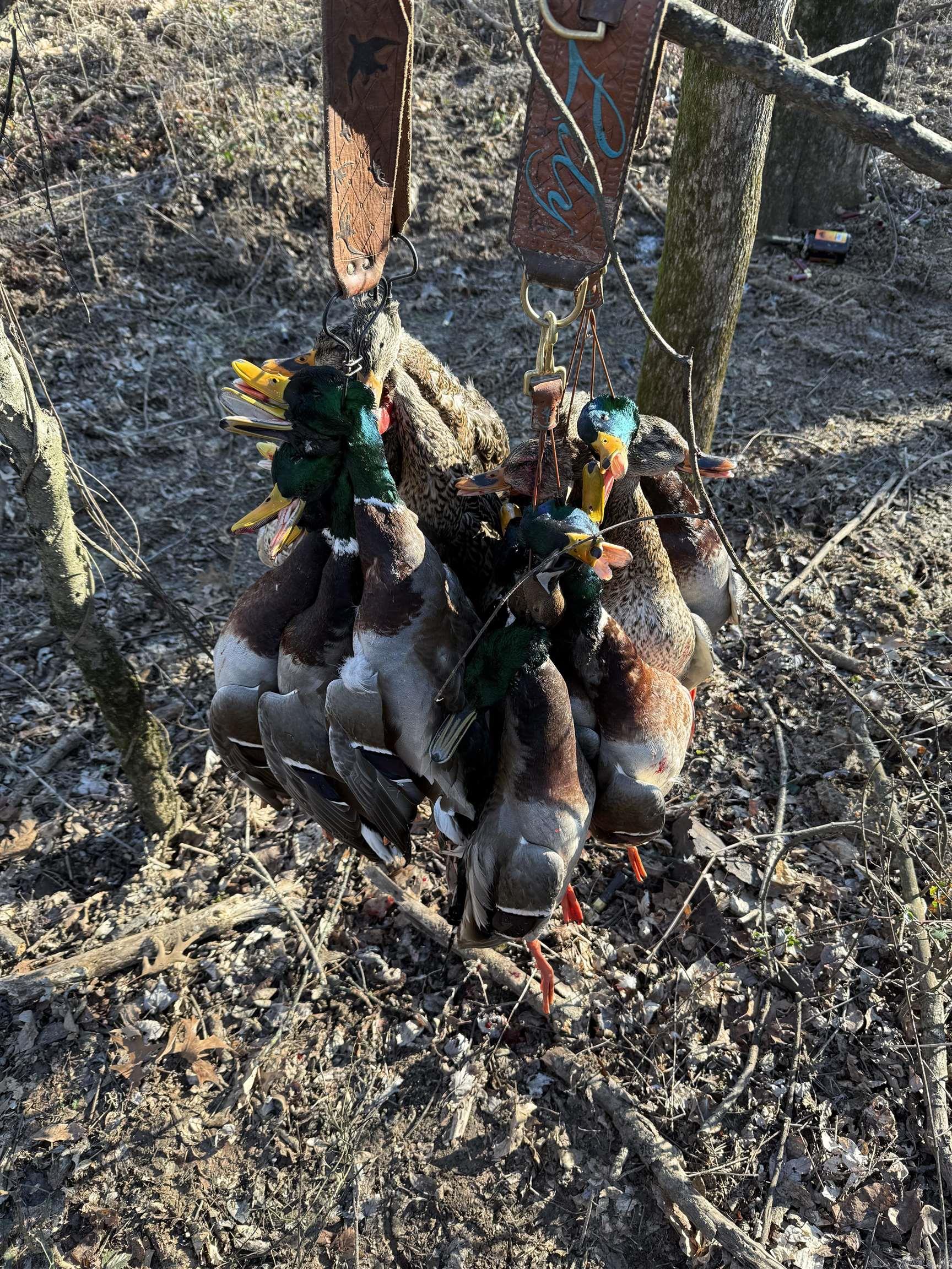 Metes & Bounds - Farm