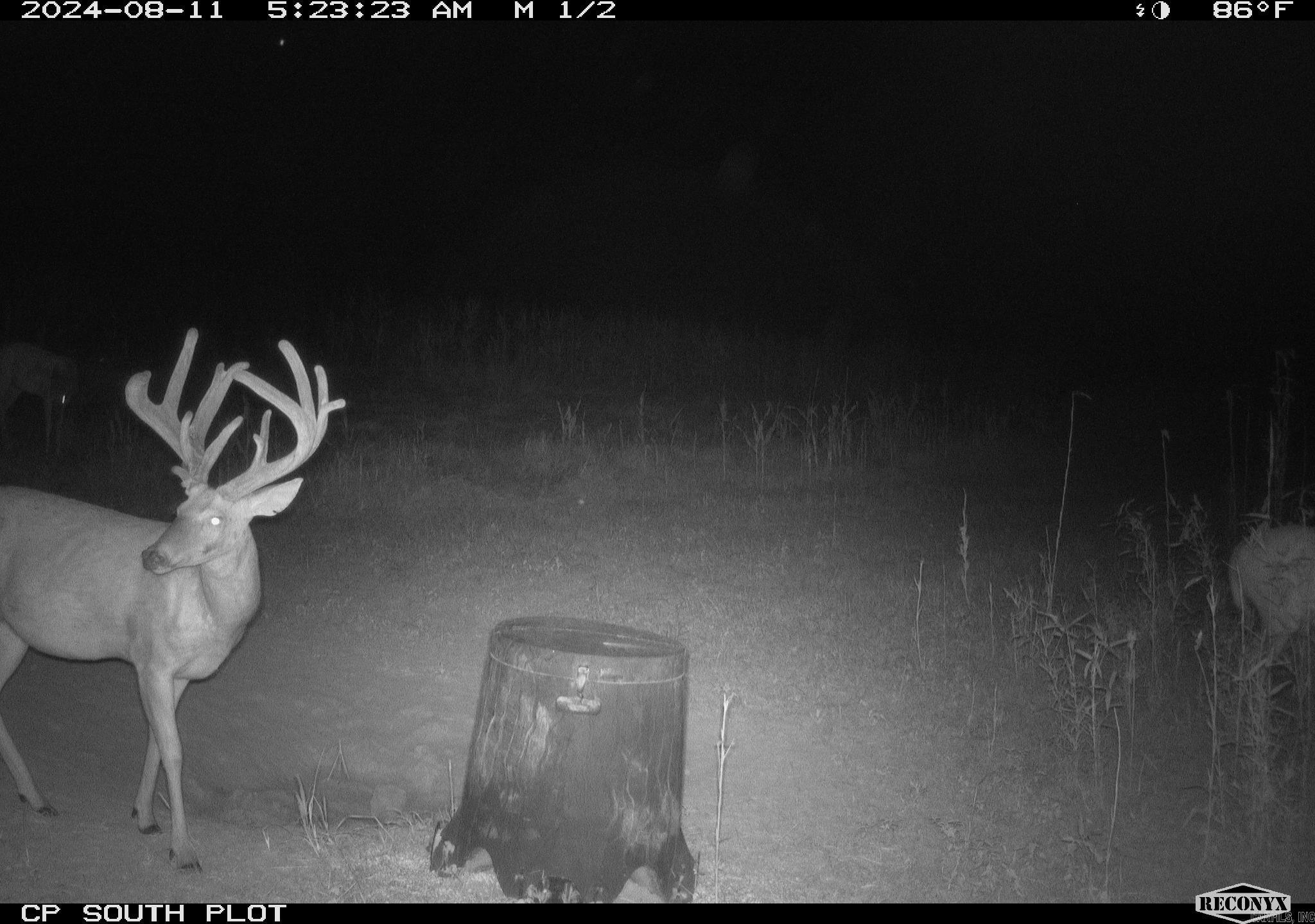 Metes & Bounds - Farm